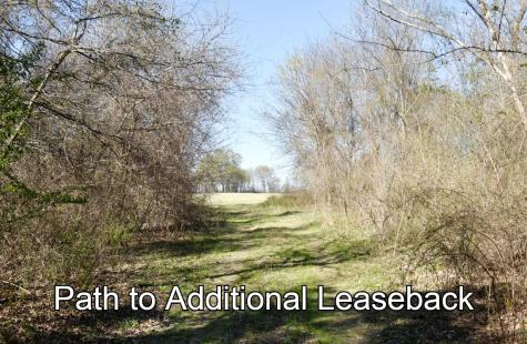 16.27 Acres Fm 2946 Emory TX 75440