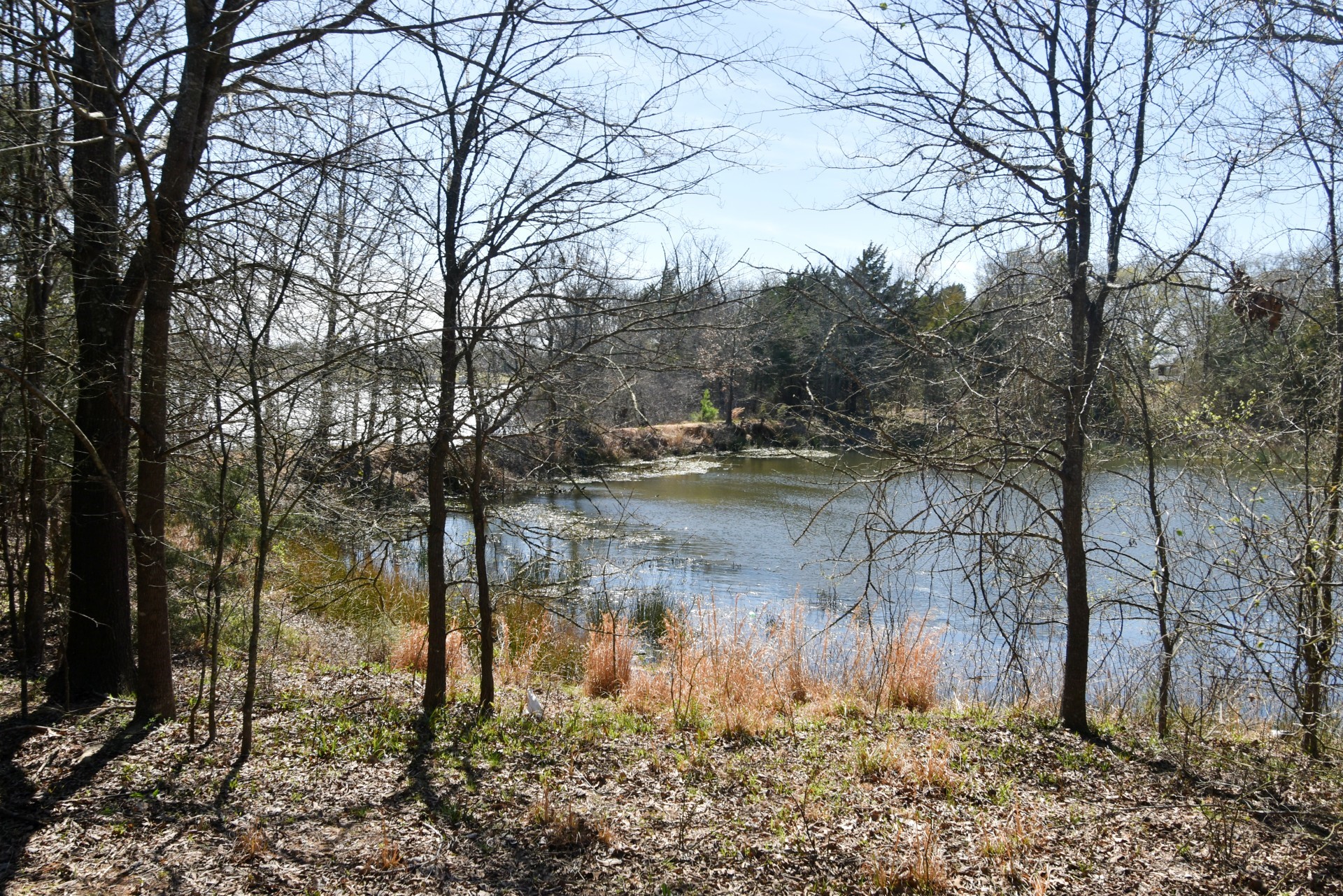 16.27 Acres Fm 2946 Emory TX 75440