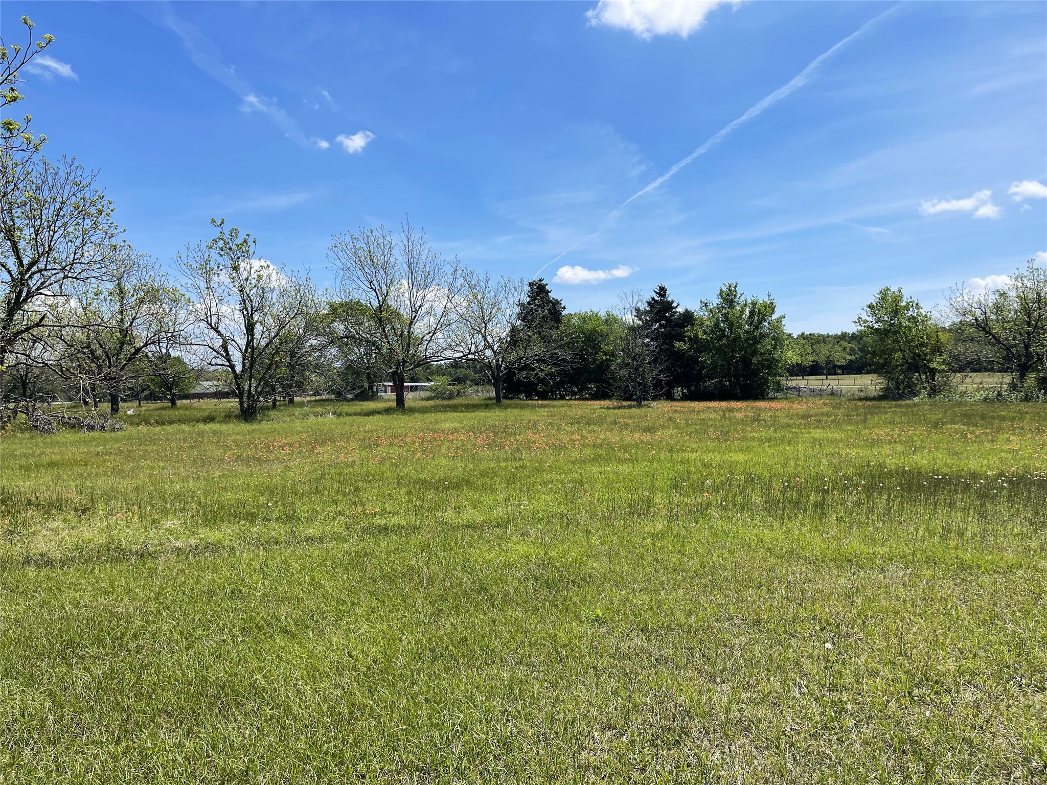1412 Mulberry Avenue Teague TX 75860
