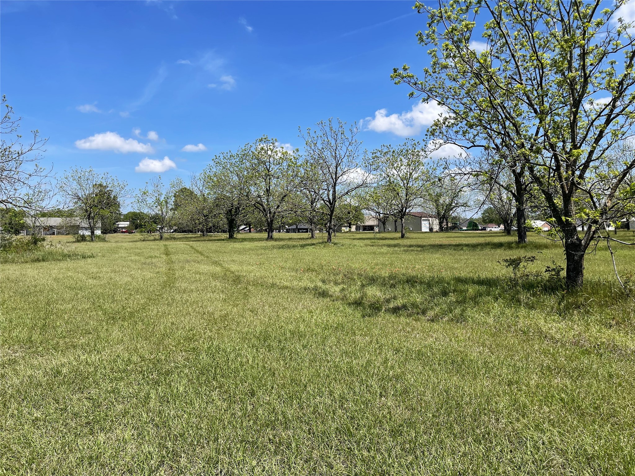 1412 Mulberry Avenue Teague TX 75860