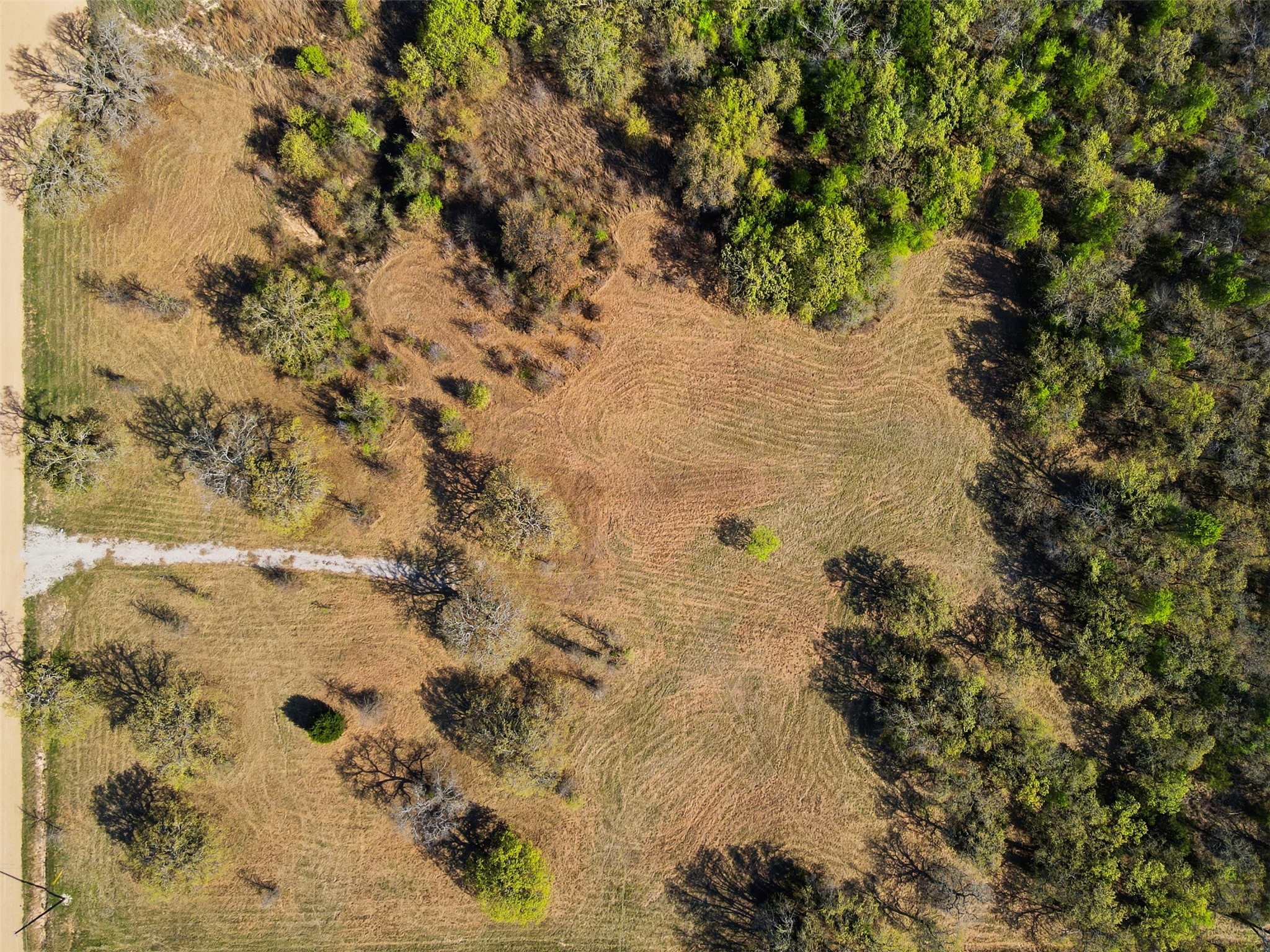 3020 Turkey Court Perrin TX 76486