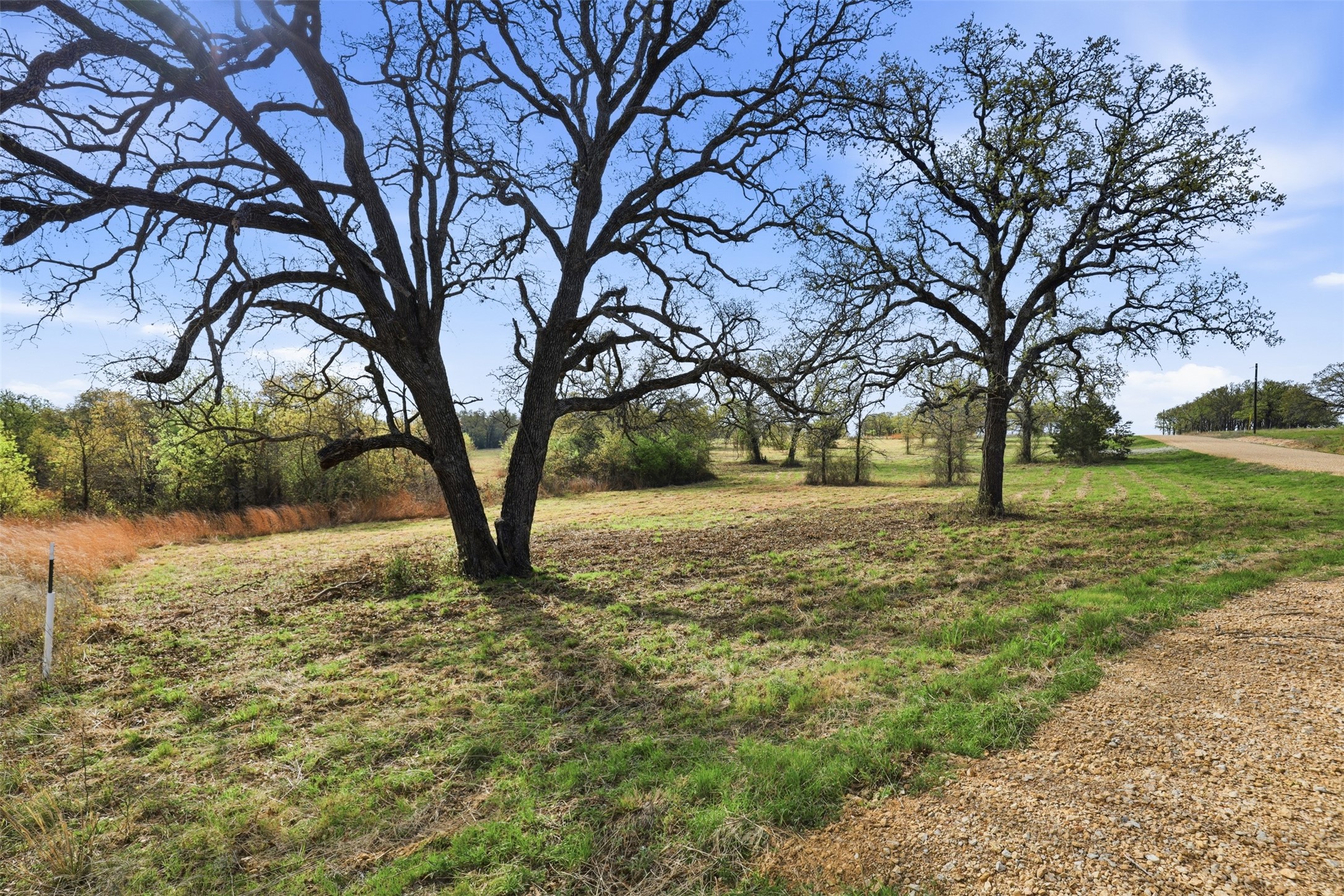 3020 Turkey Court Perrin TX 76486