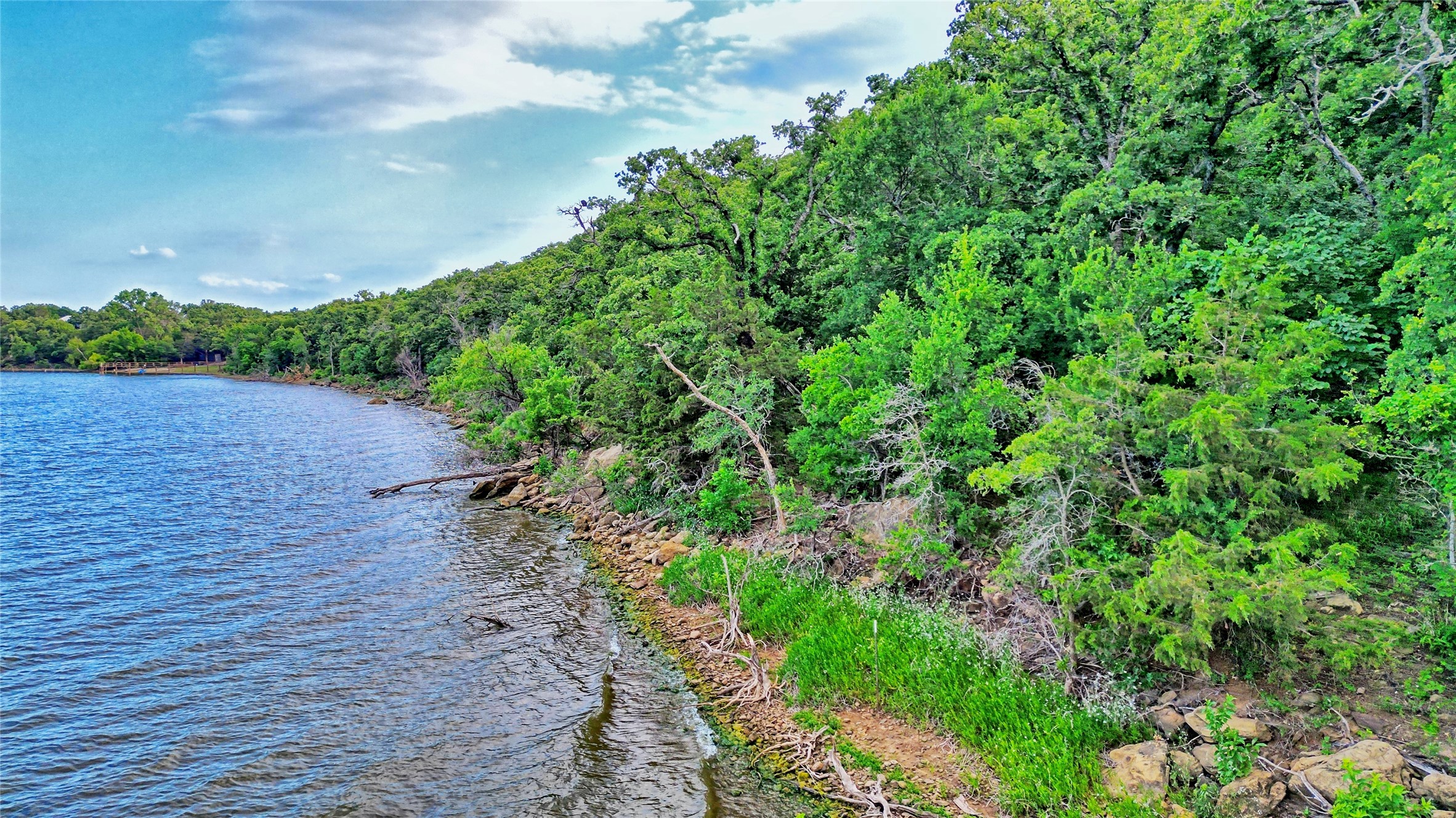 Tbd Scenic Hill Drive Bowie TX 76230