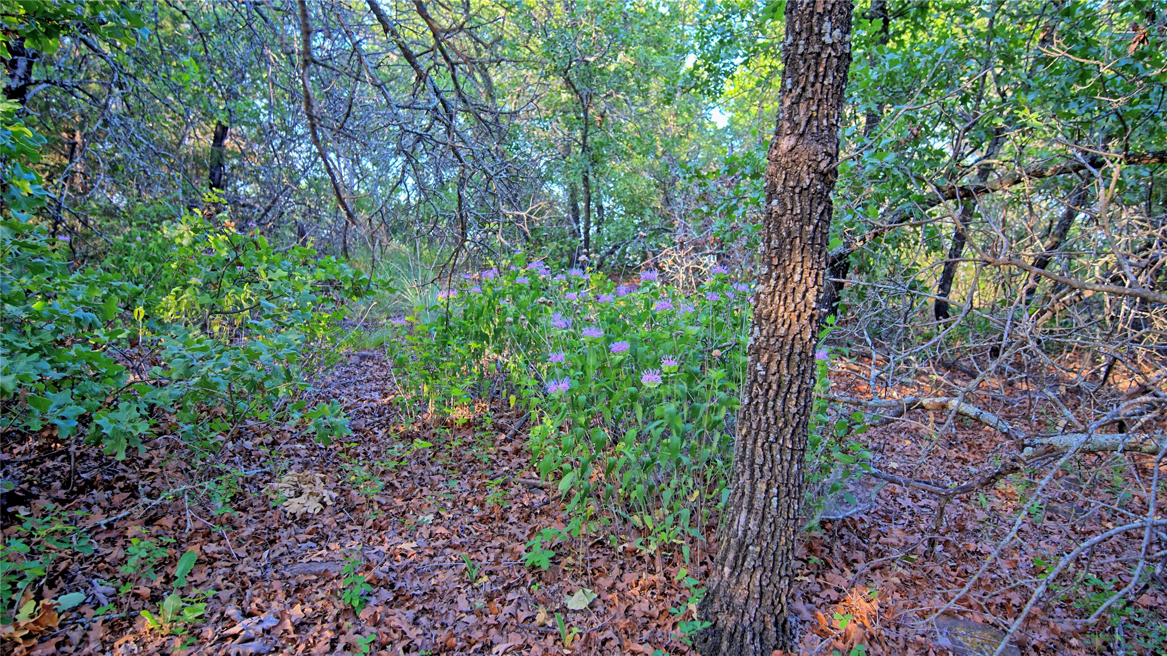Tbd Scenic Hill Drive Bowie TX 76230