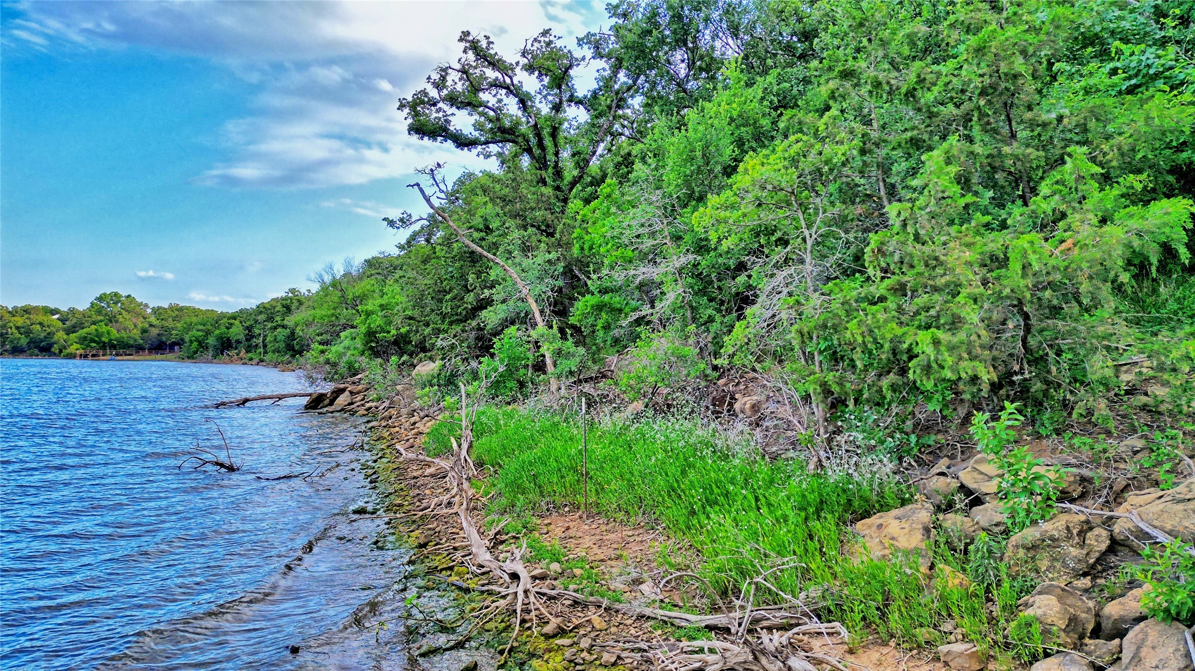 Tbd Scenic Hill Drive Bowie TX 76230