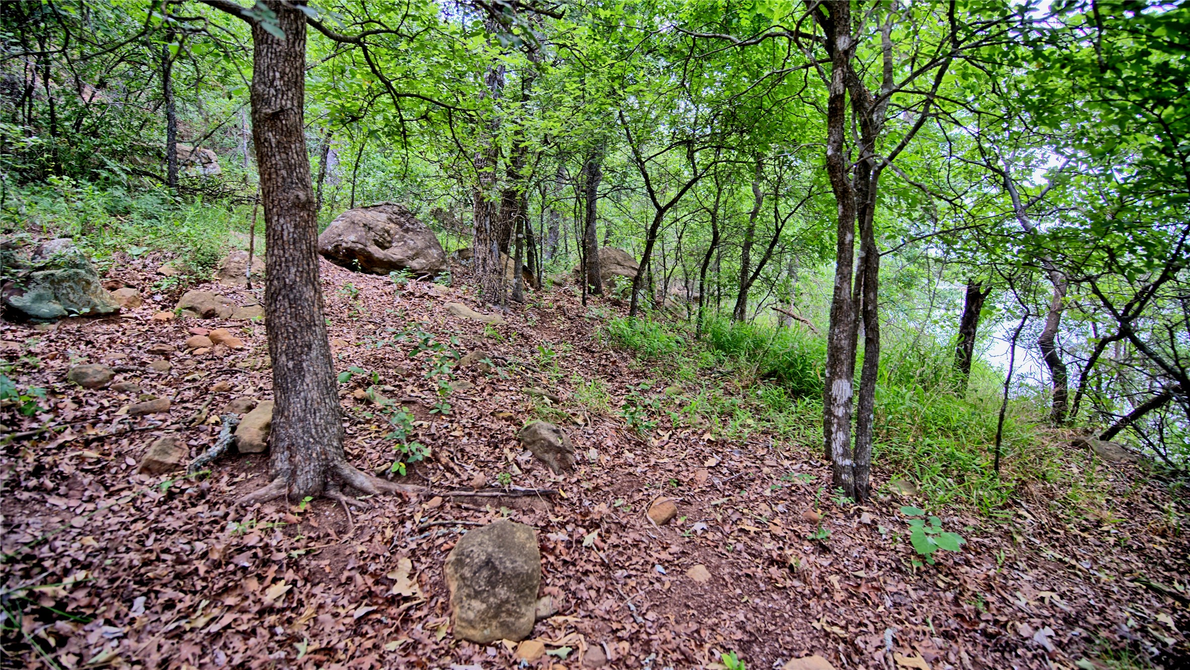 Tbd Scenic Hill Drive Bowie TX 76230