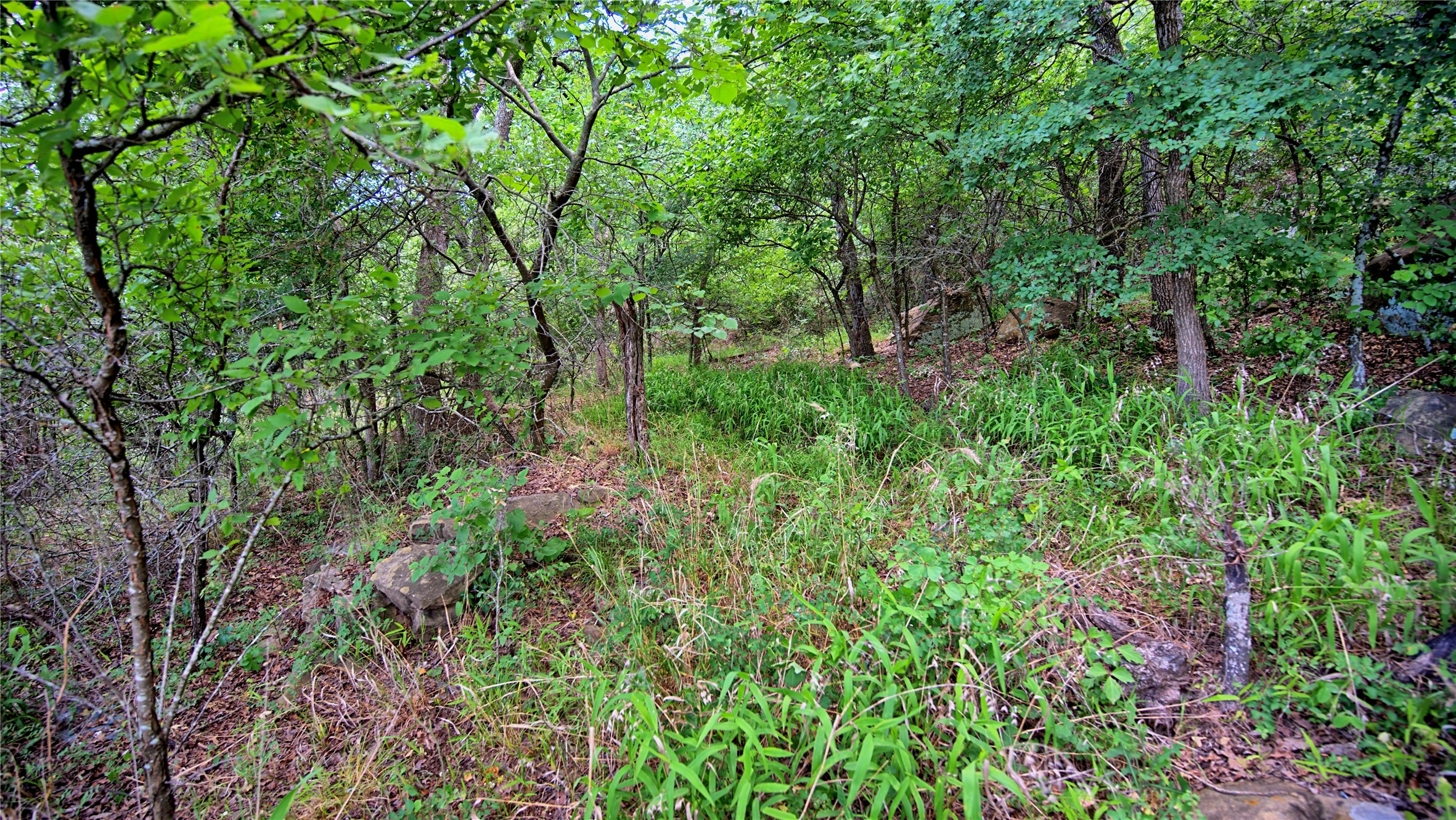 Tbd Scenic Hill Drive Bowie TX 76230