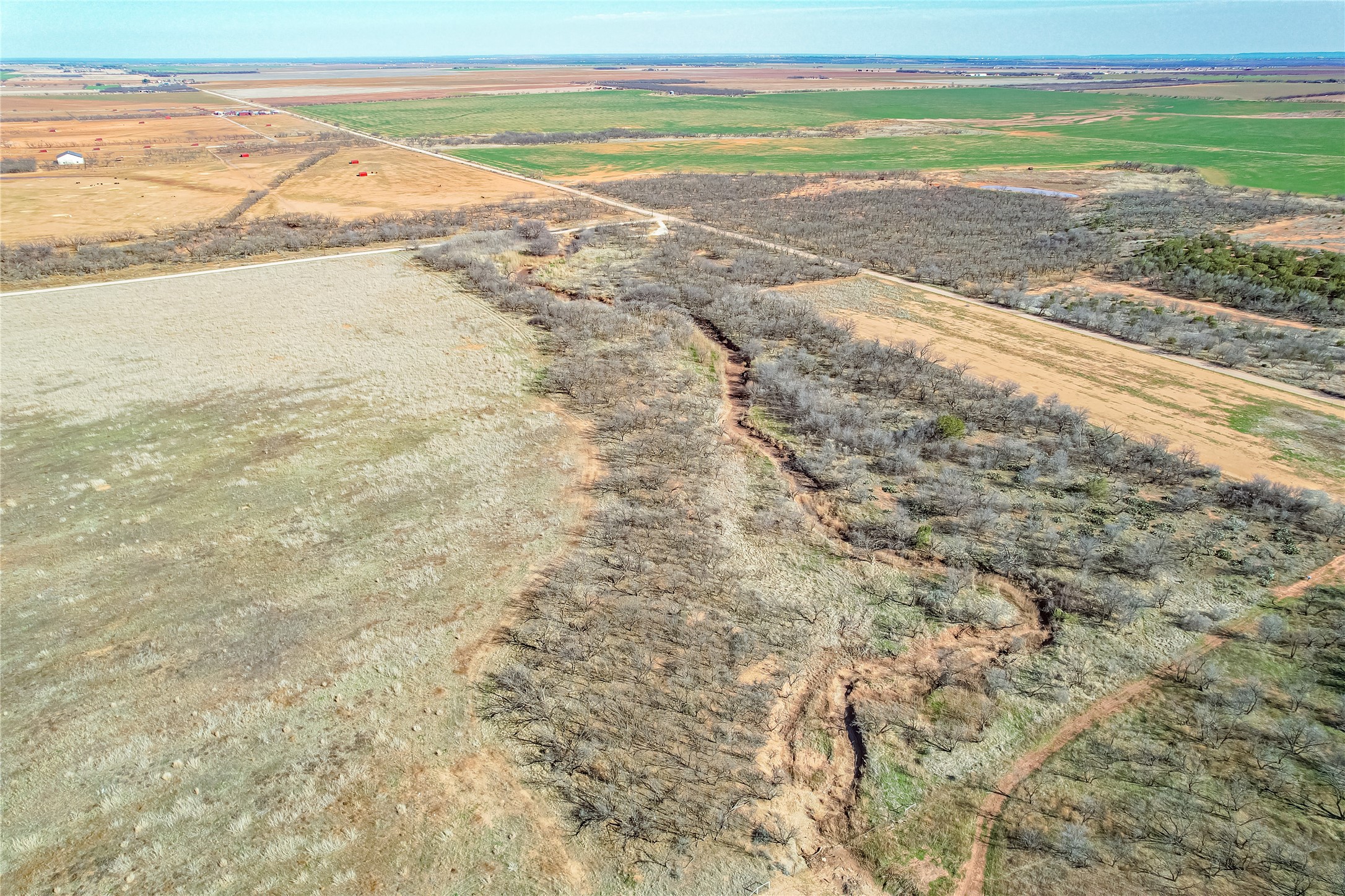 Tbd Cr 432 Merkel TX 79536