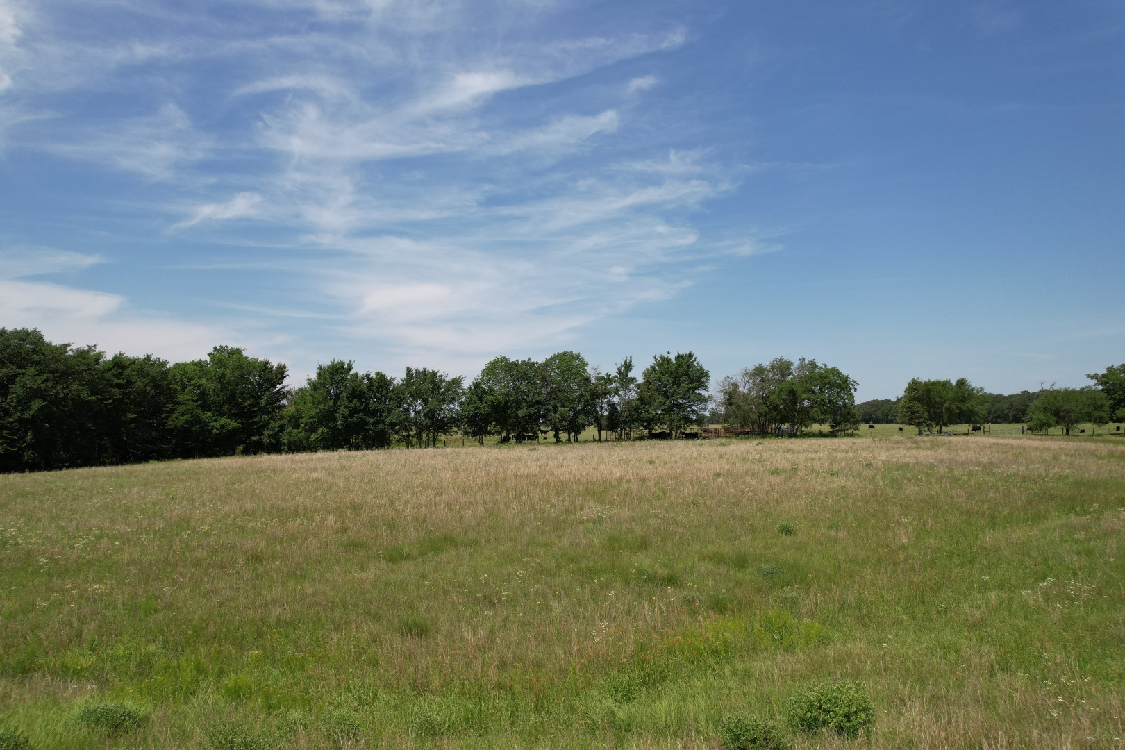 31-33 Private Road 5986 Yantis TX 75497