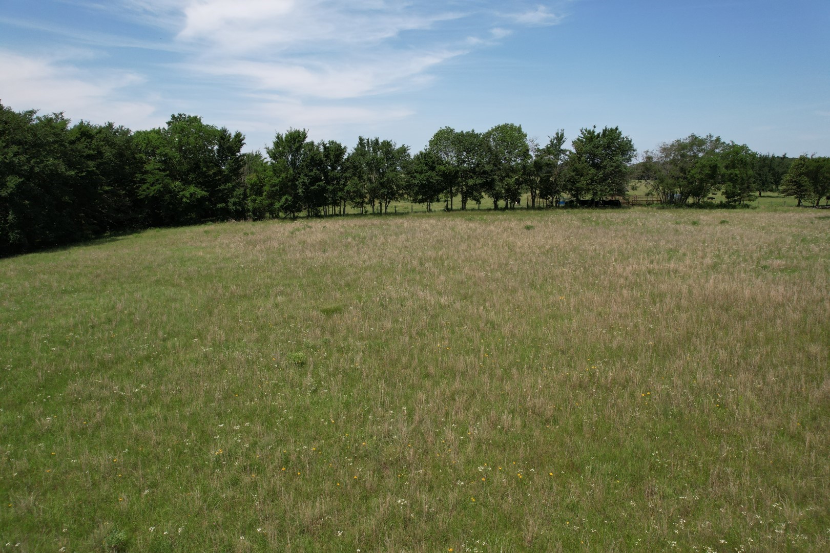 31-33 Private Road 5986 Yantis TX 75497