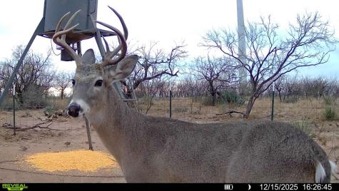 CR 450 No City TX 79526