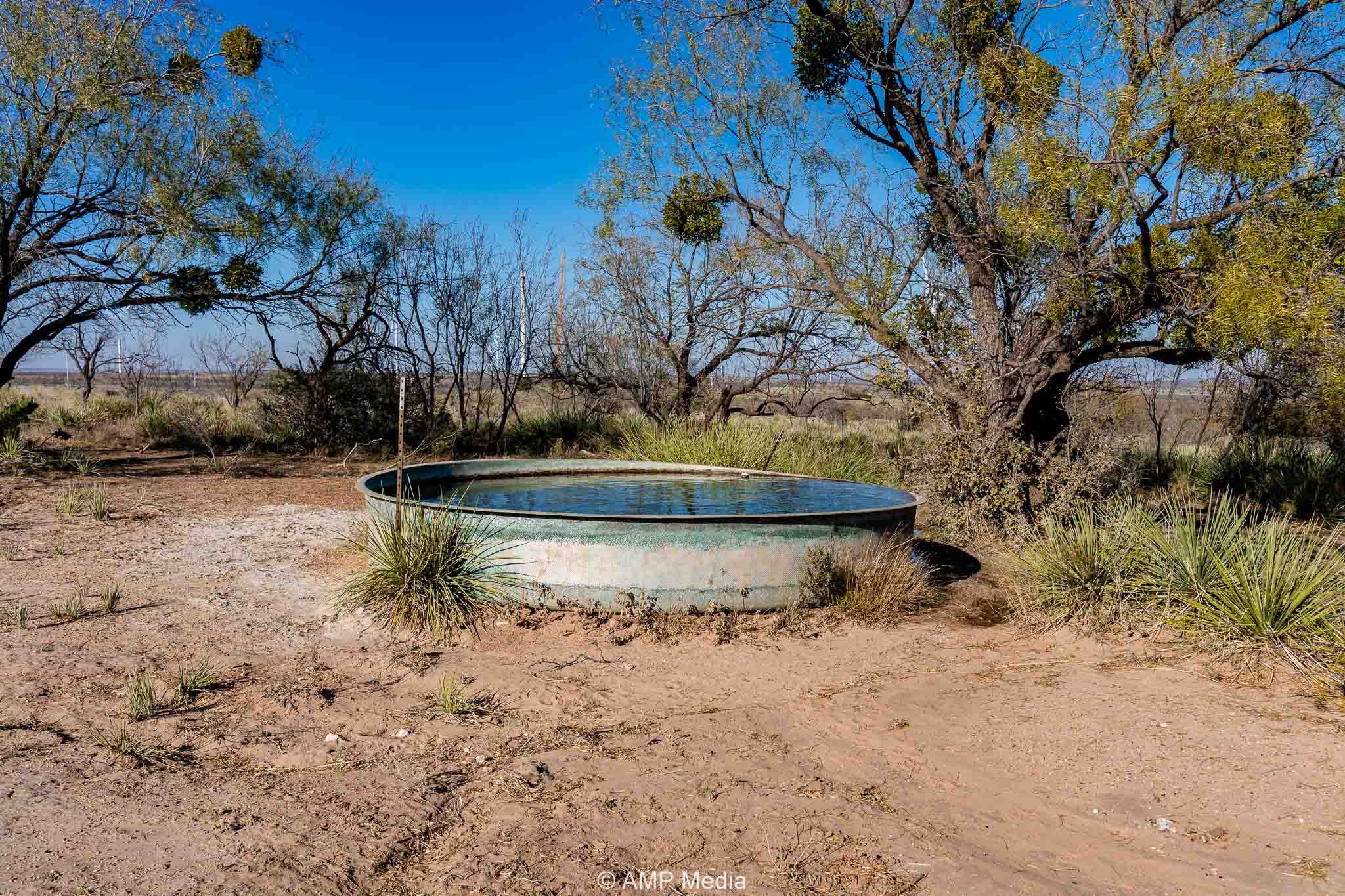 Cr 450 No City TX 79526