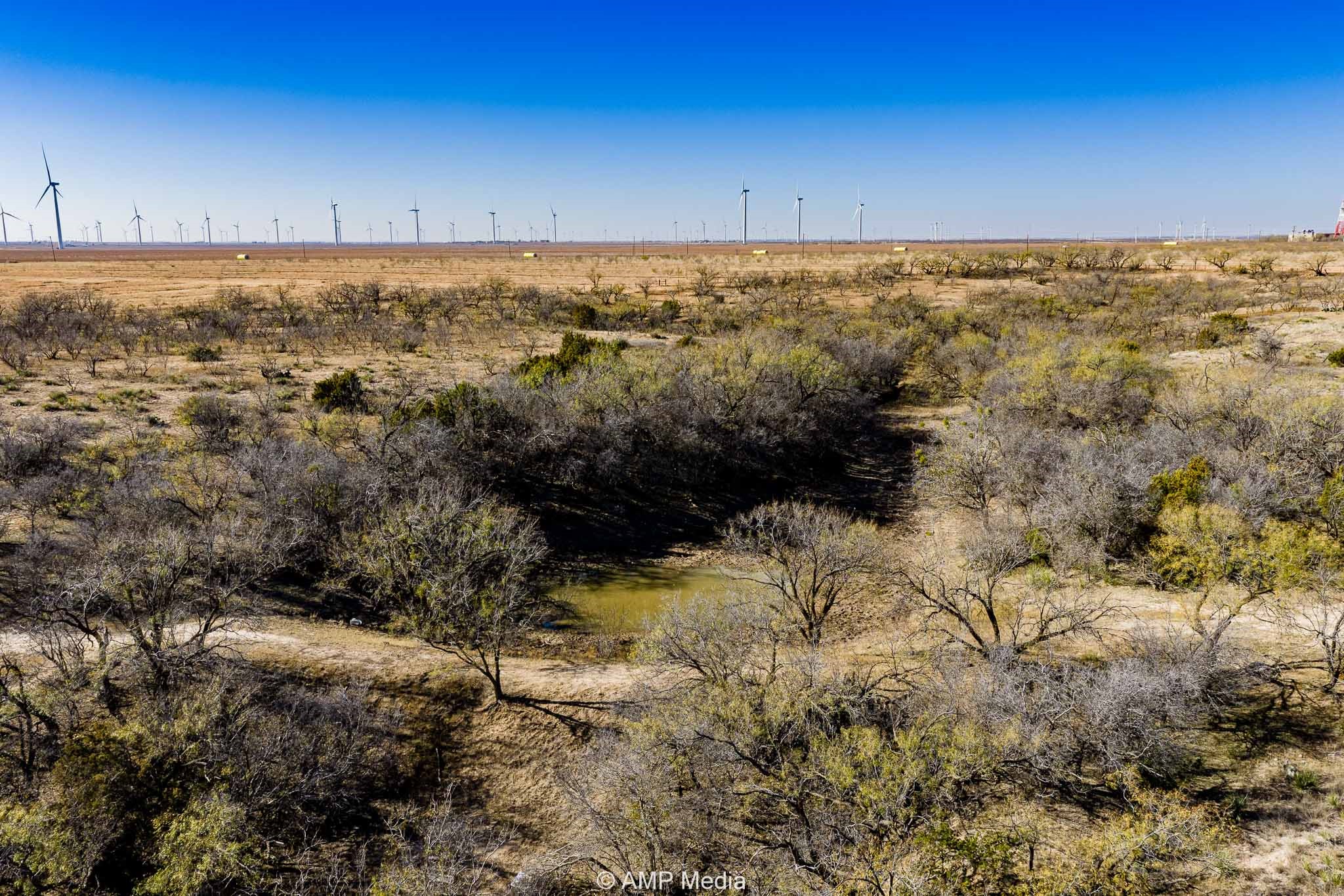 Cr 450 No City TX 79526