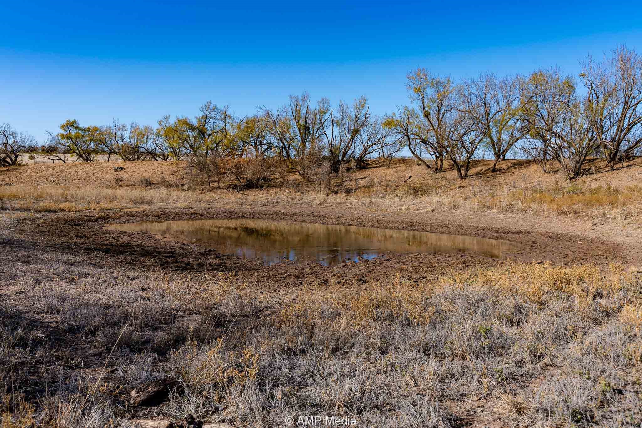Cr 450 No City TX 79526