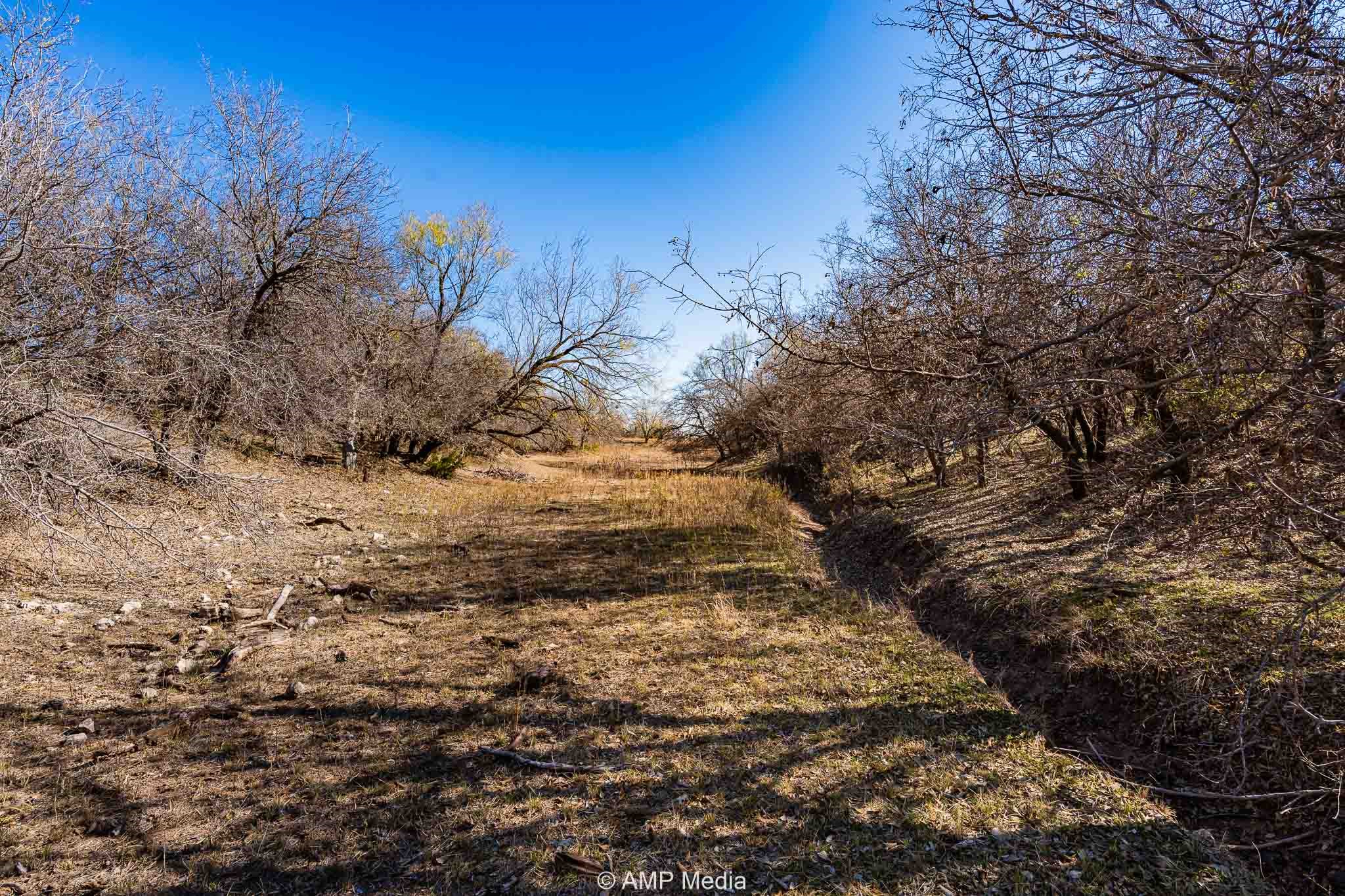 Cr 450 No City TX 79526