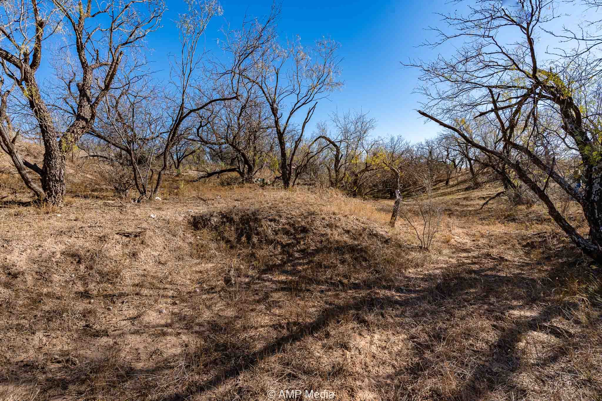 Cr 450 No City TX 79526