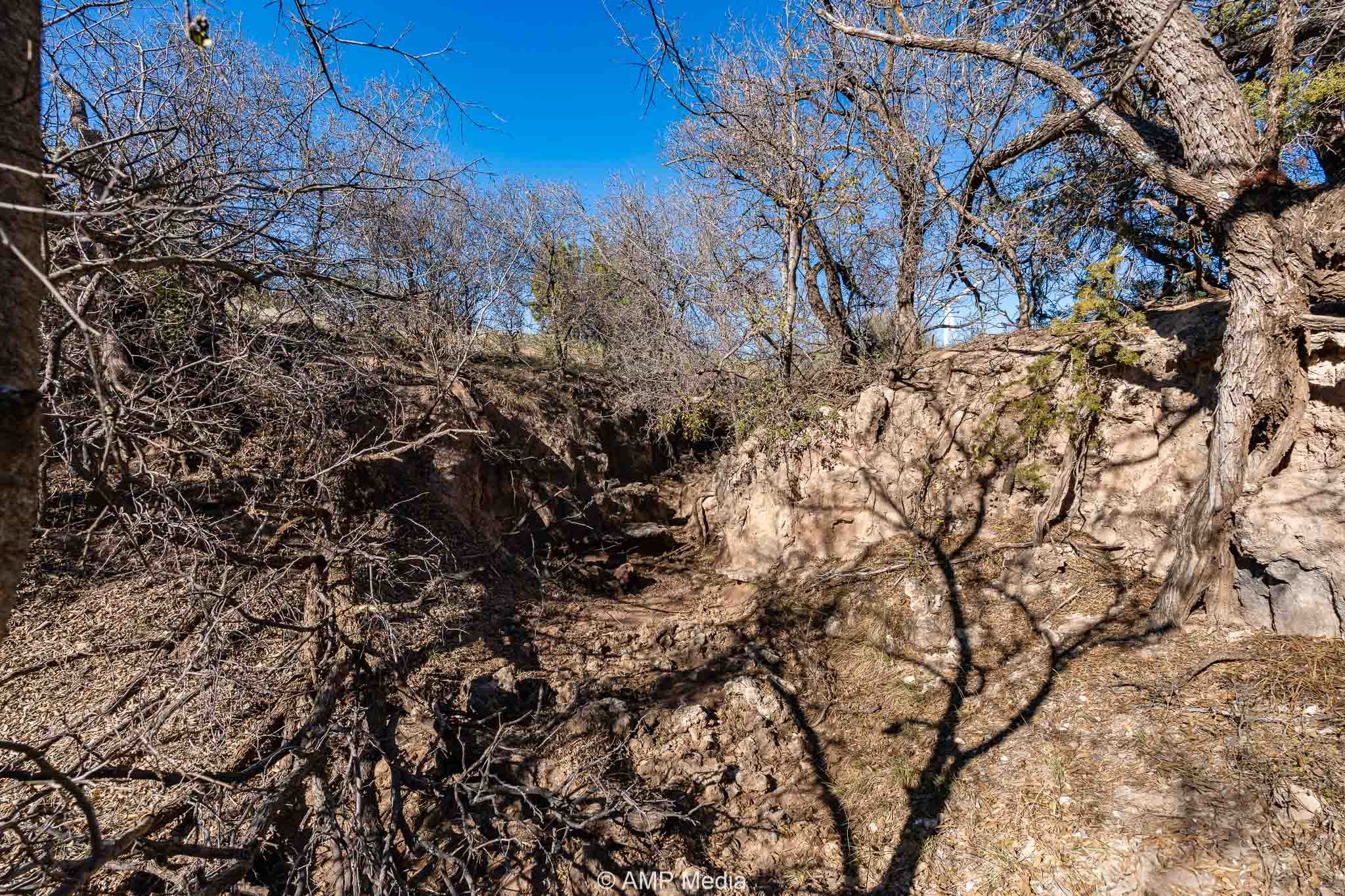 Cr 450 No City TX 79526