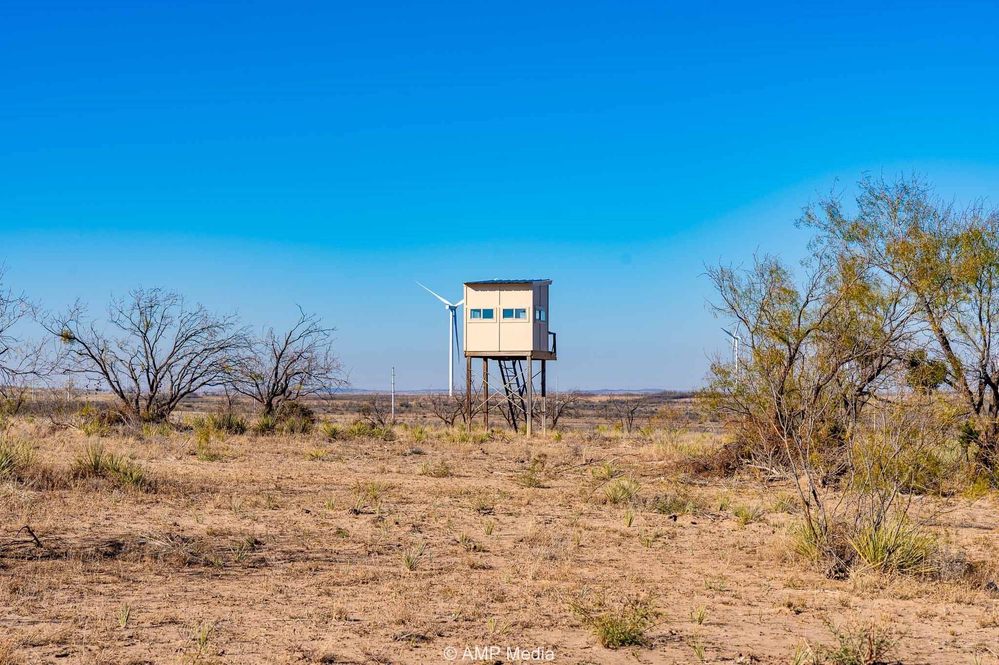 Cr 450 No City TX 79526