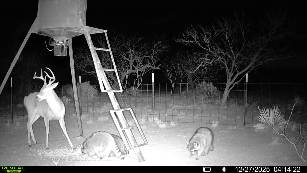 Cr 450 No City TX 79526