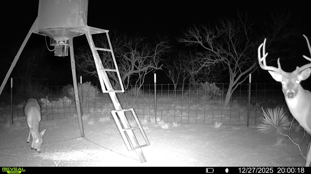 Cr 450 No City TX 79526
