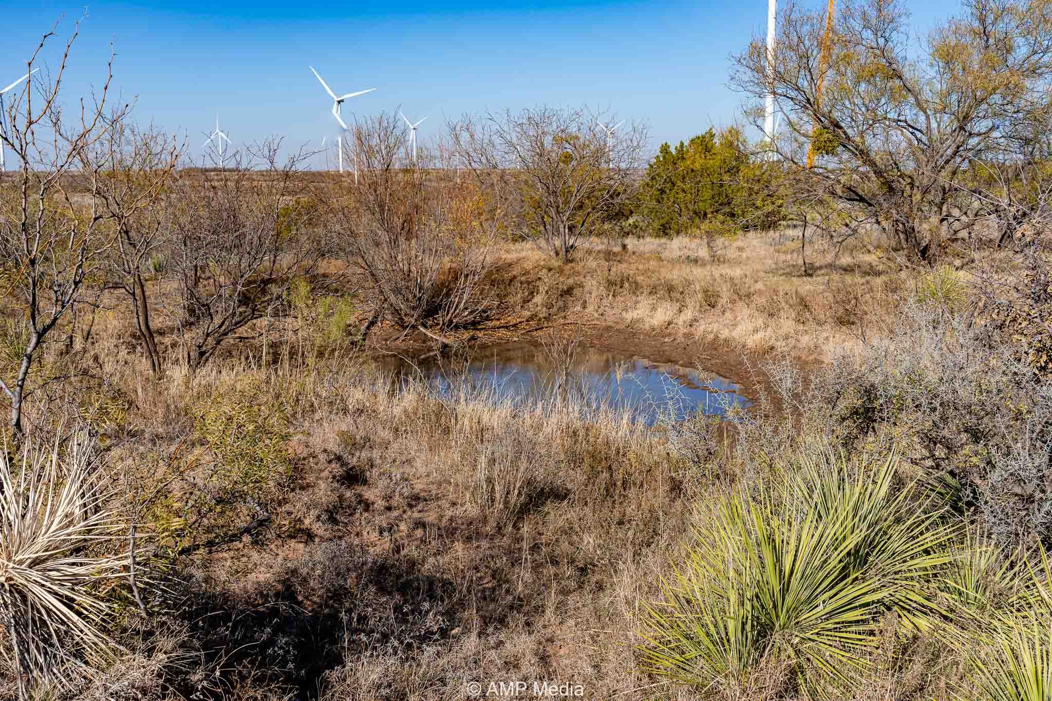 Cr 450 No City TX 79526
