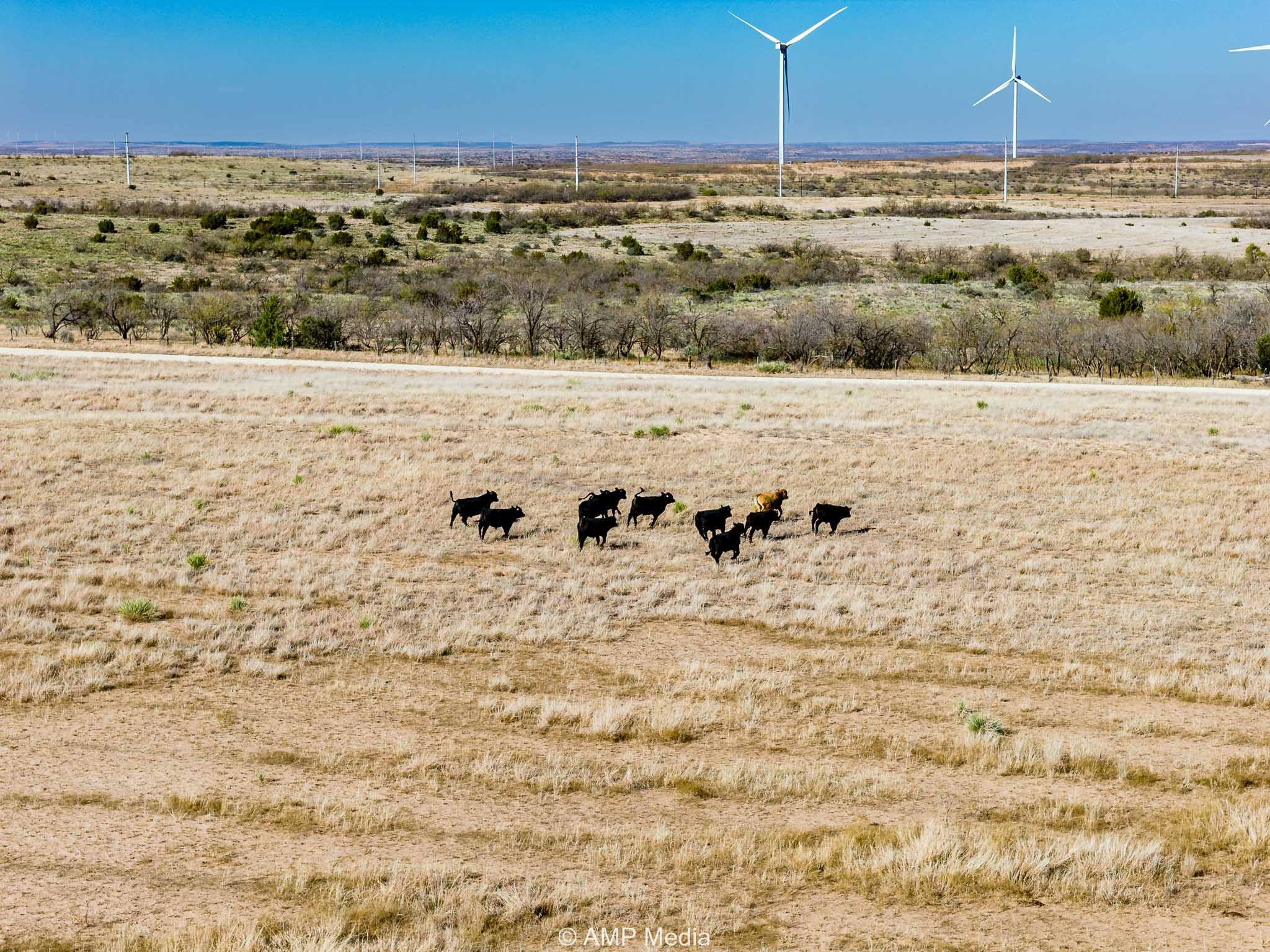 Cr 450 No City TX 79526