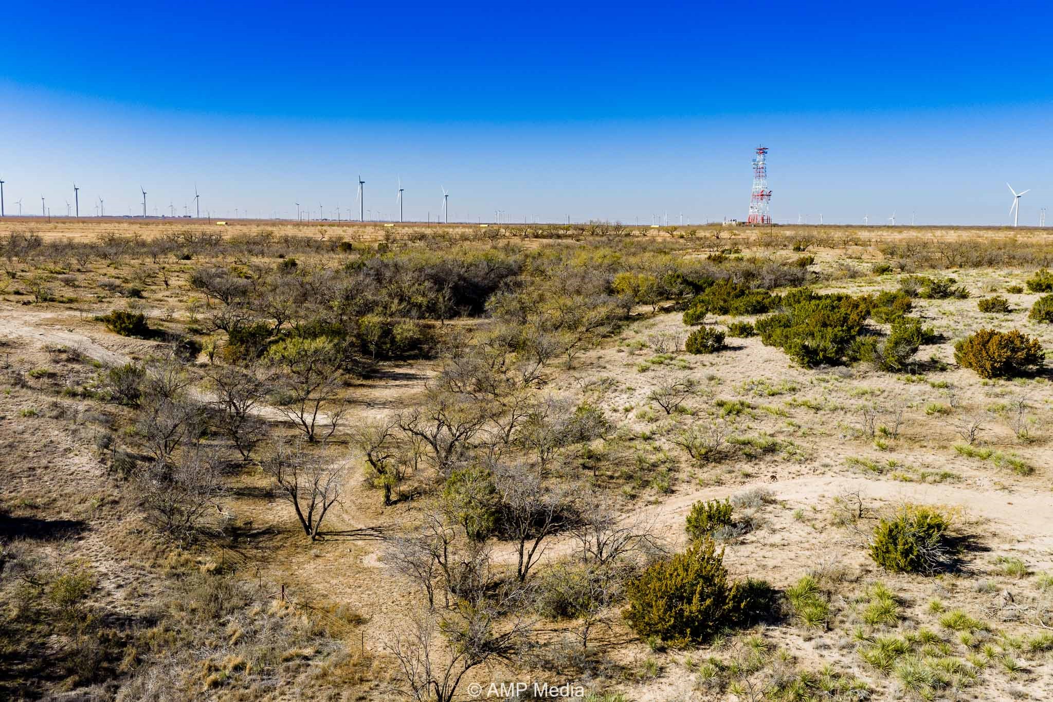 Cr 450 No City TX 79526