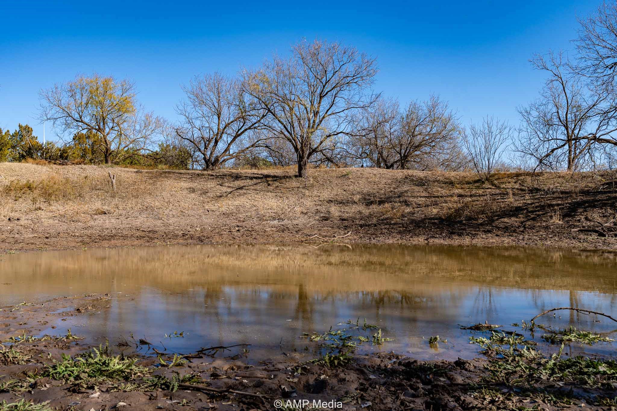 Cr 450 No City TX 79526