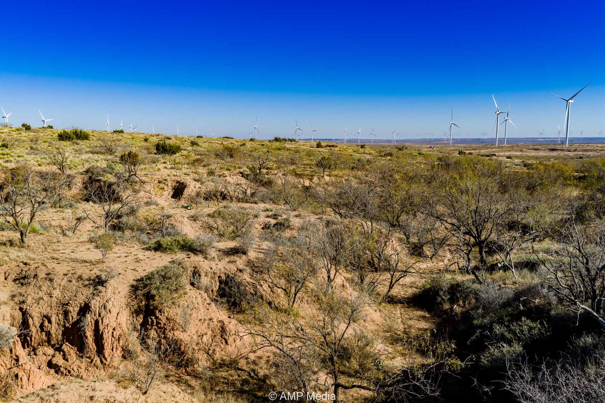 Cr 450 No City TX 79526