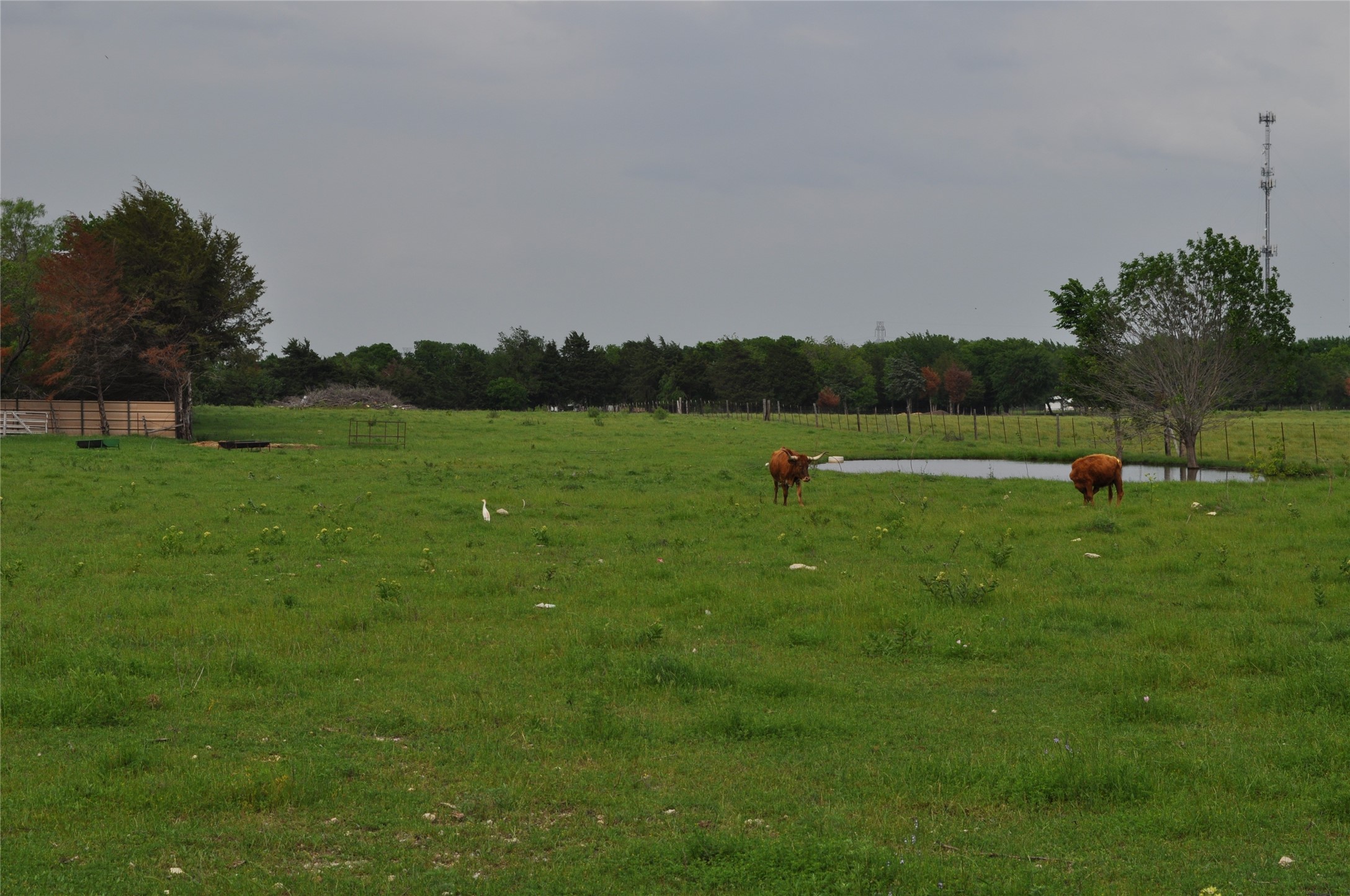 620 S Kaufman Street Seagoville TX 75159