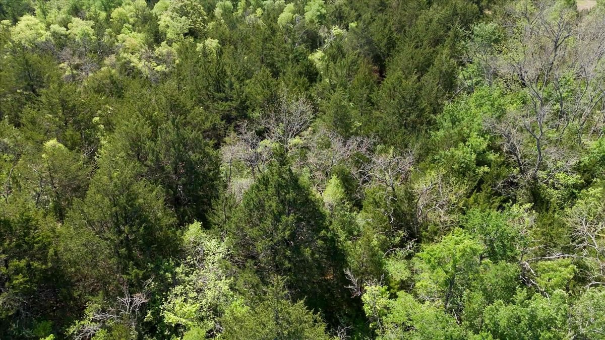 Tbd County Road 4511 Commerce TX 75428