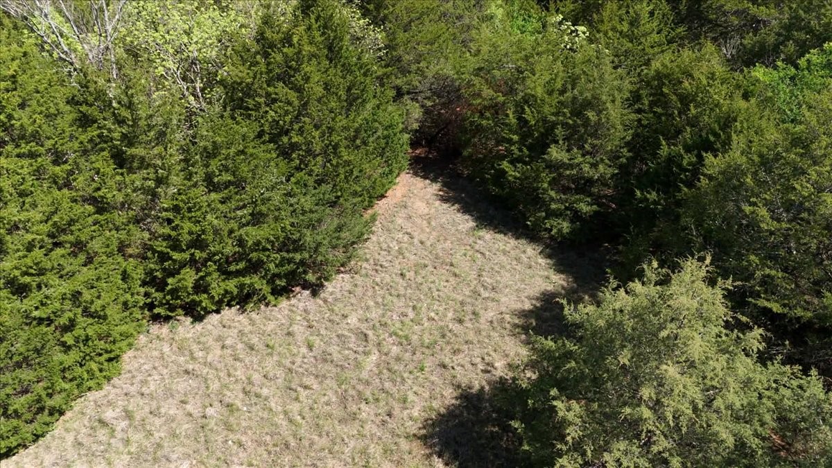 Tbd County Road 4511 Commerce TX 75428
