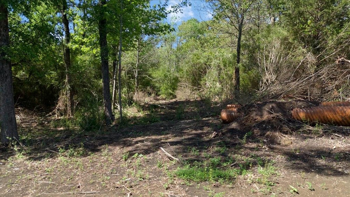 Tbd County Road 4511 Commerce TX 75428