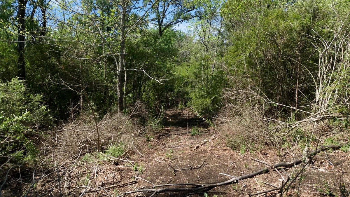 Tbd County Road 4511 Commerce TX 75428