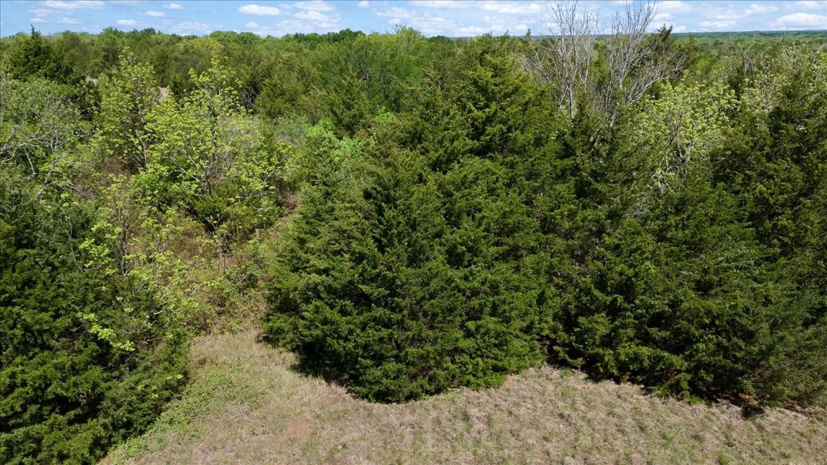 Tbd County Road 4511 Commerce TX 75428