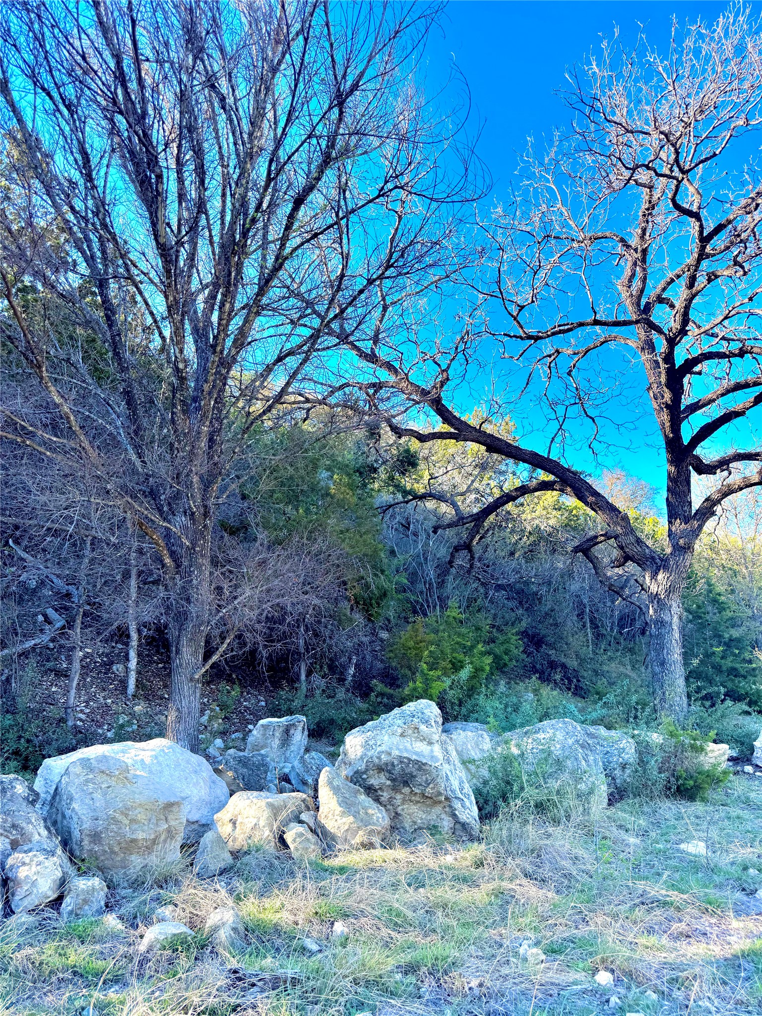 Tbd Tracts 25&26 Seven Springs Drive Junction TX 76849