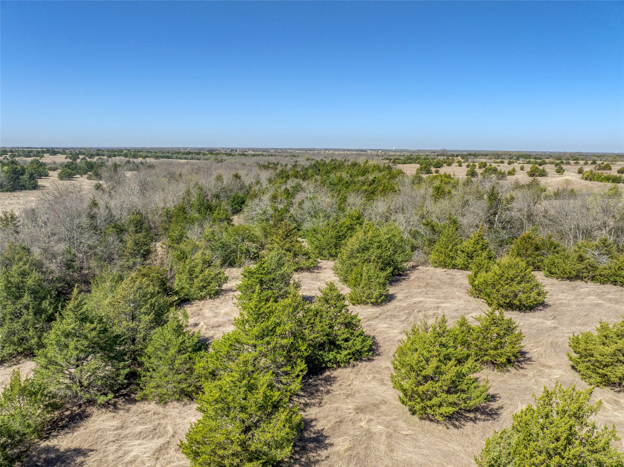 Tract 5 County Road 2935 Dodd City TX 75438