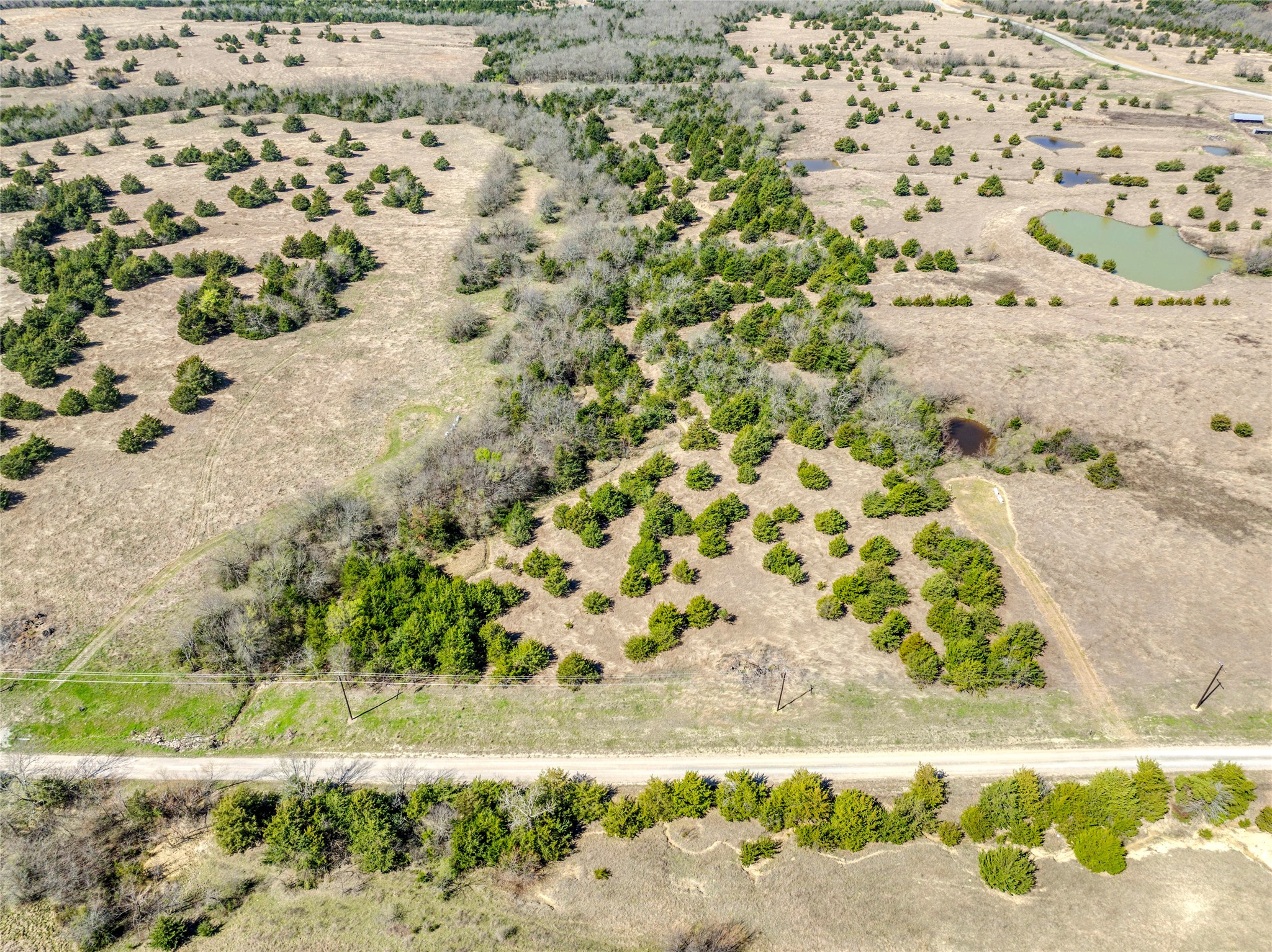 Tract 5 County Road 2935 Dodd City TX 75438