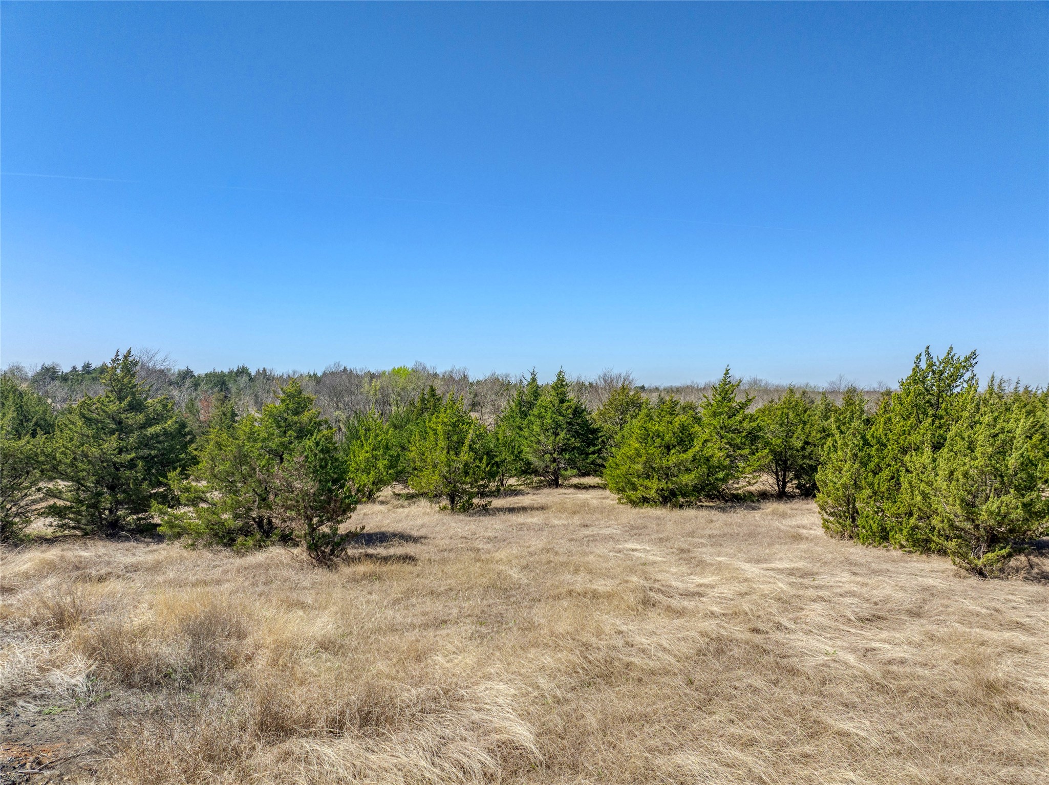 Tract 5 County Road 2935 Dodd City TX 75438
