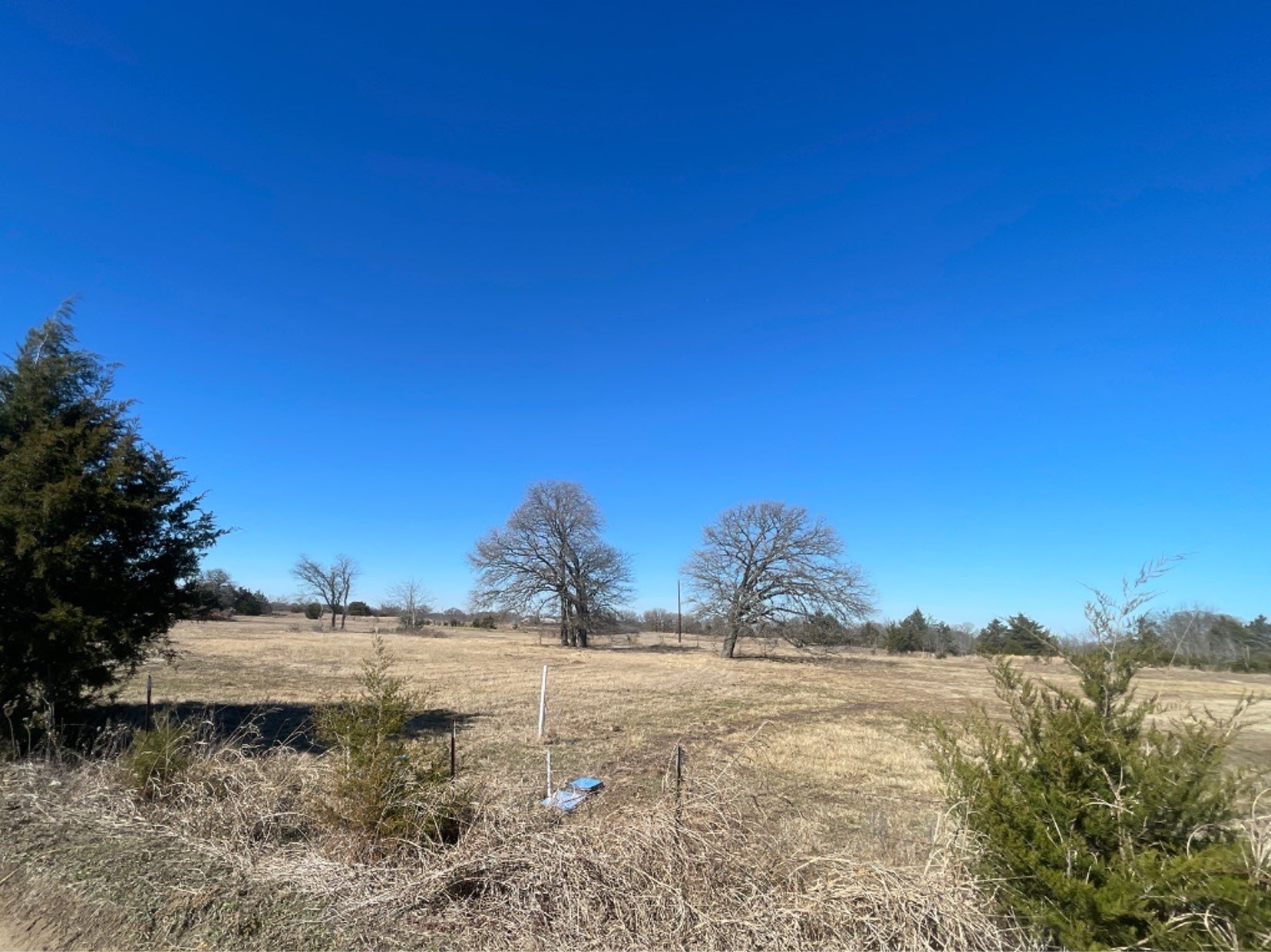 2584 Cr 119 Kaufman TX 75142