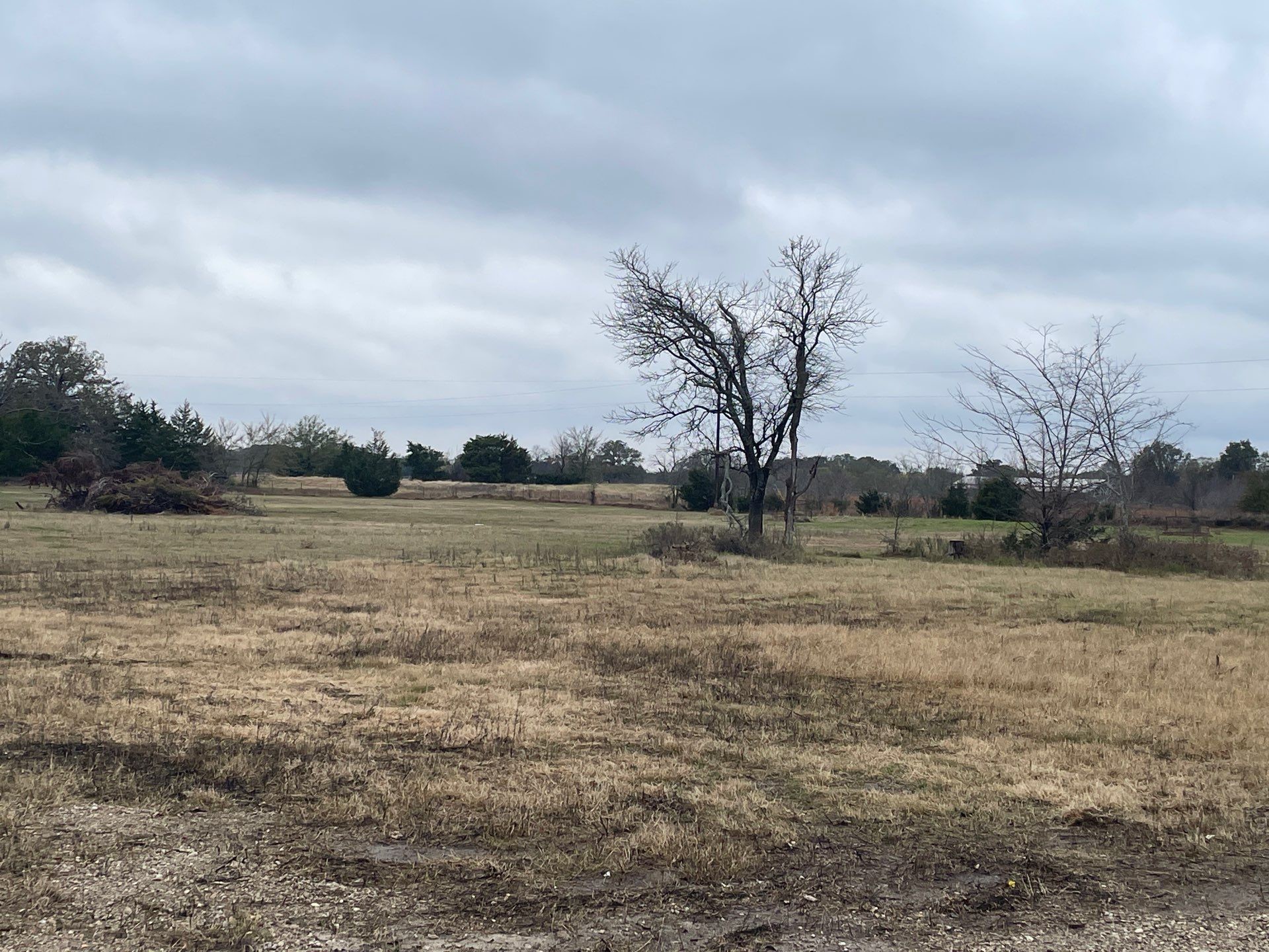 2584 Cr 119 Kaufman TX 75142