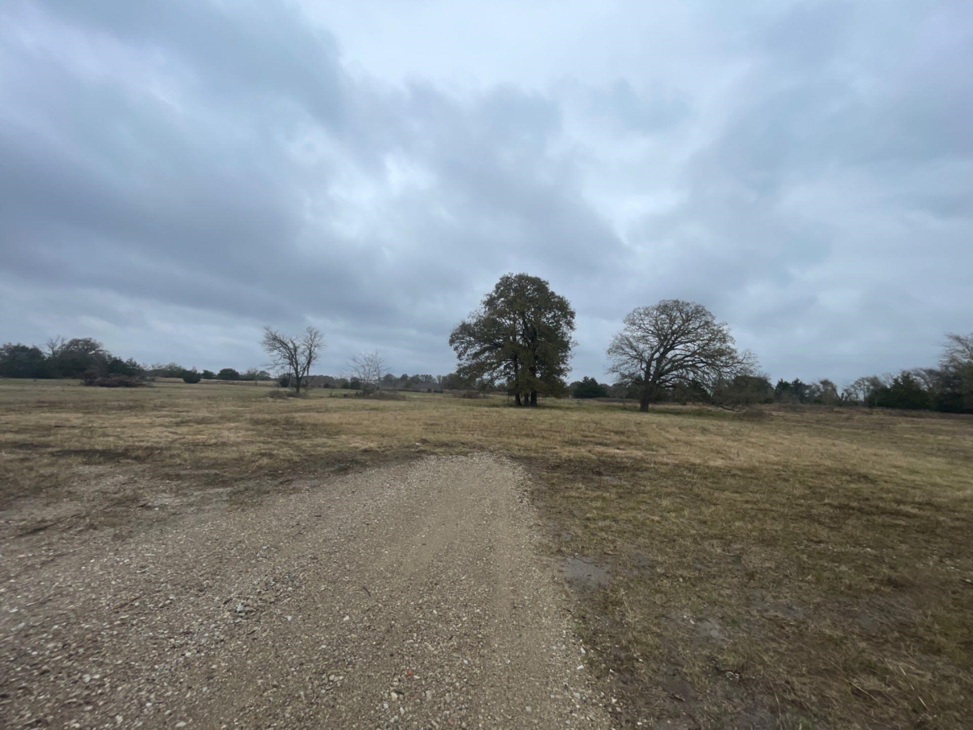 2584 Cr 119 Kaufman TX 75142