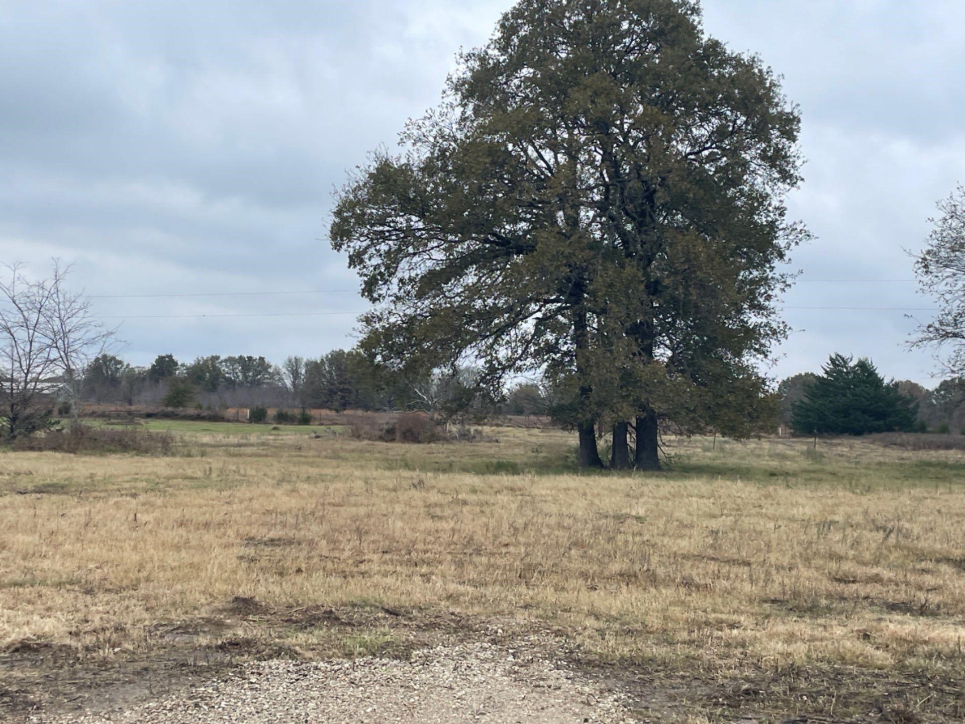 2584 Cr 119 Kaufman TX 75142