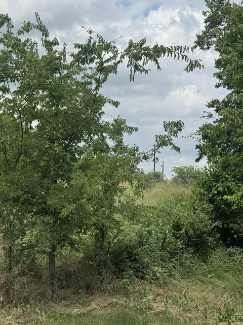 000 County Road 4219 Decatur TX 76234