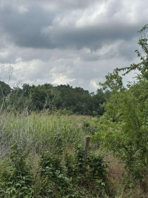 000 County Road 4219 Decatur TX 76234