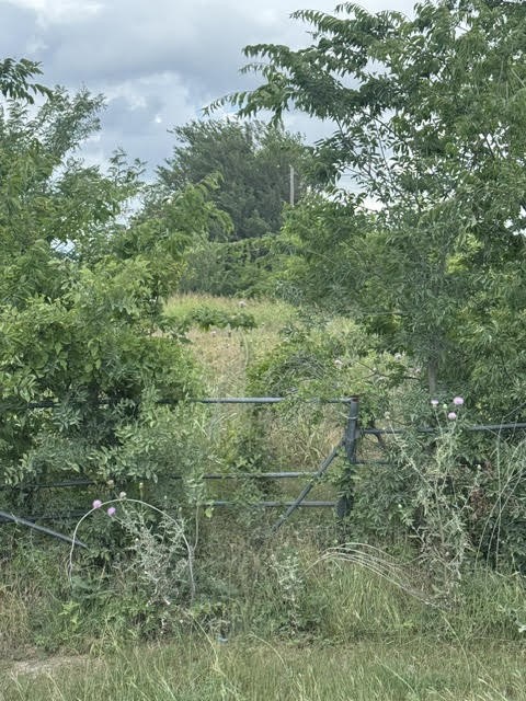 000 County Road 4219 Decatur TX 76234