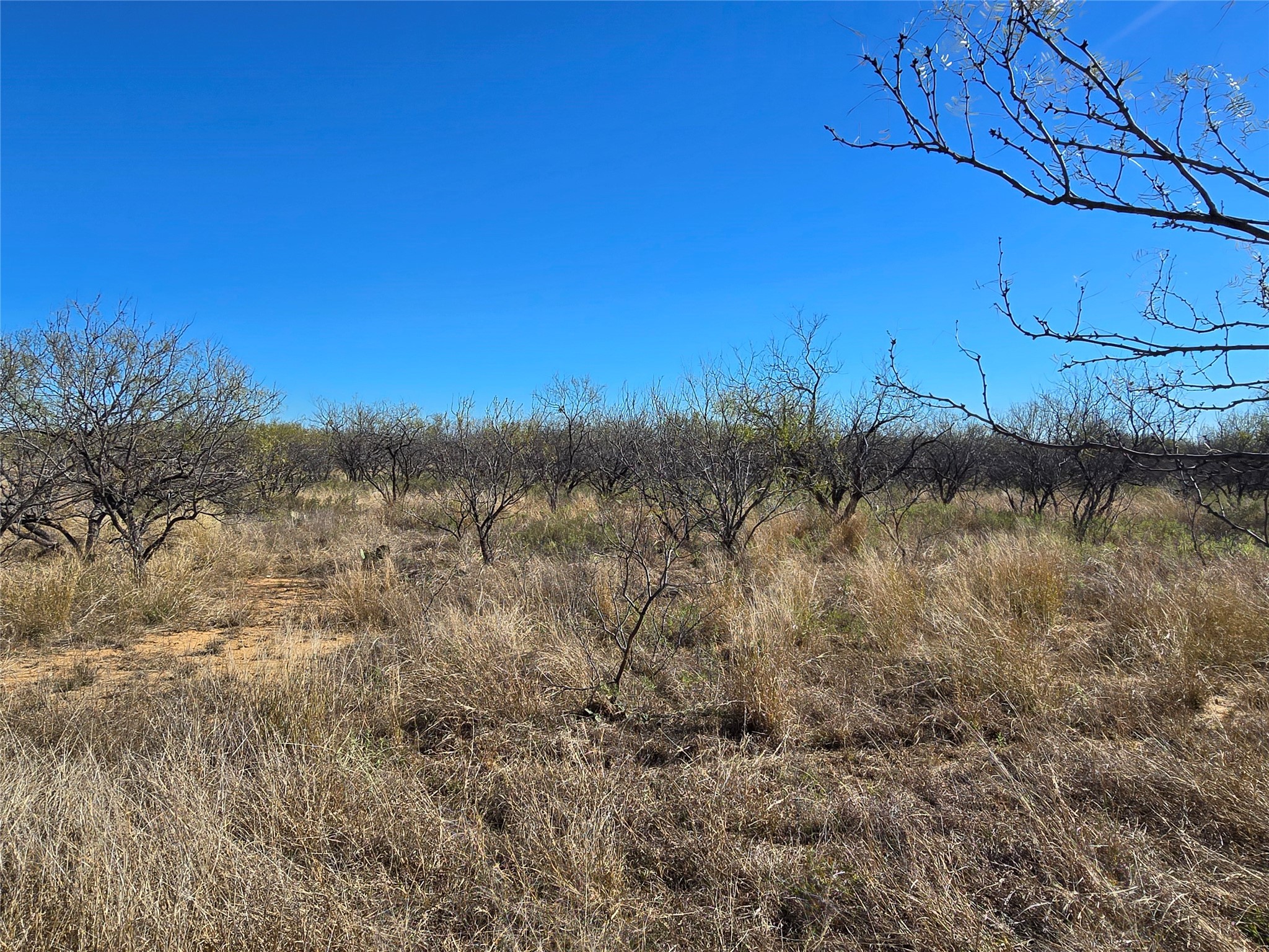 5780 County Road 266 Rochelle TX 76872