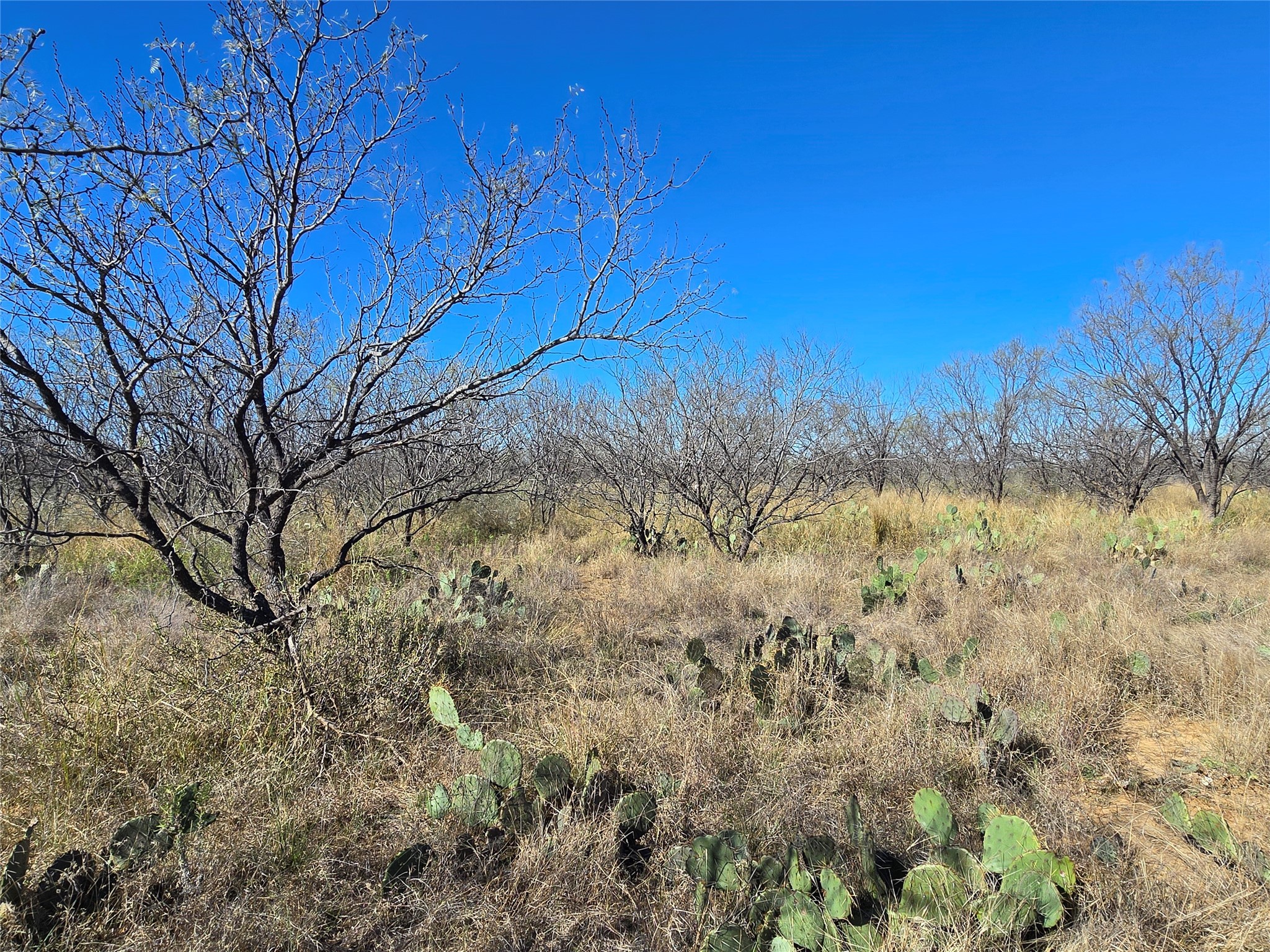 5780 County Road 266 Rochelle TX 76872