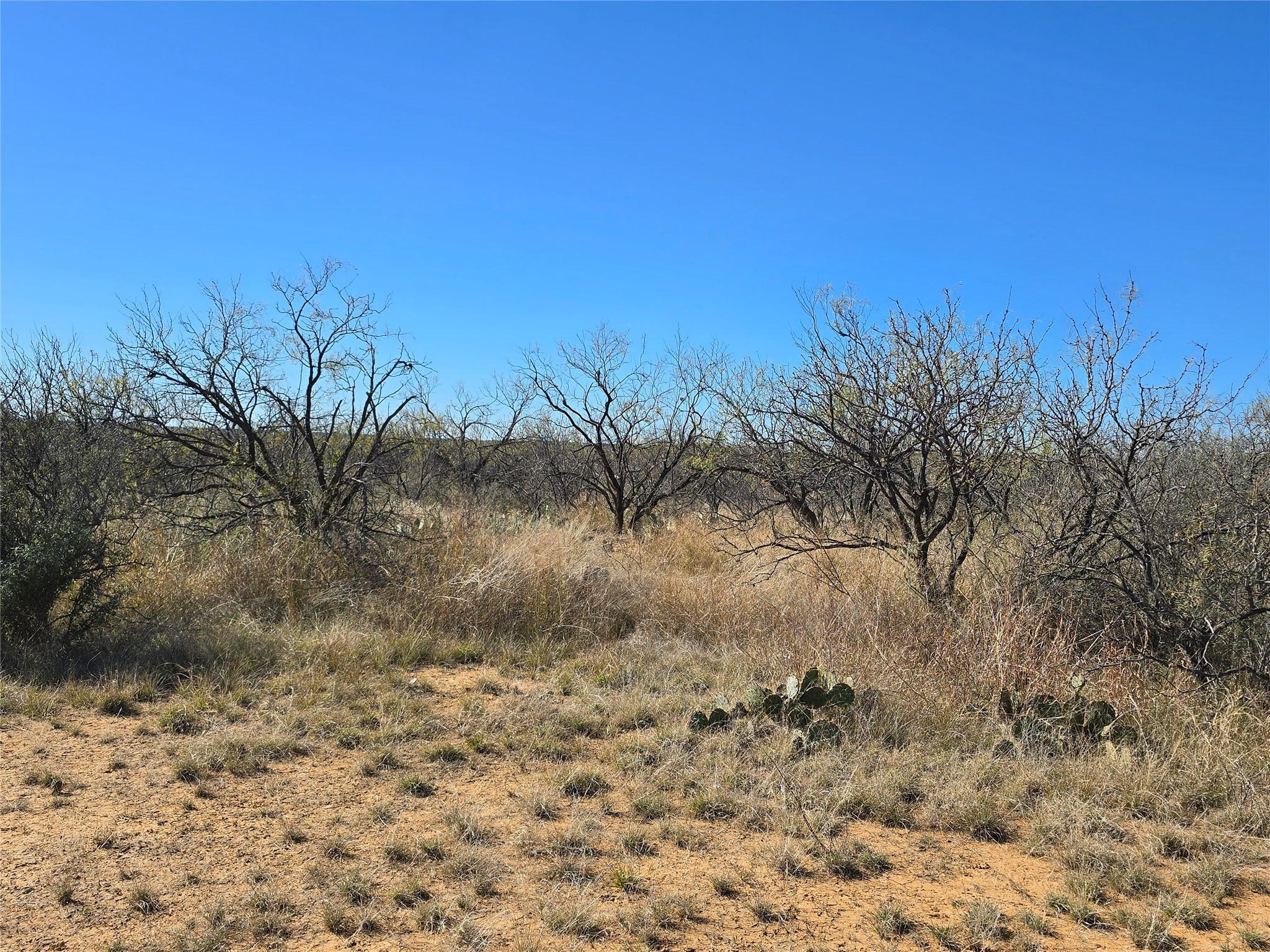 5780 County Road 266 Rochelle TX 76872