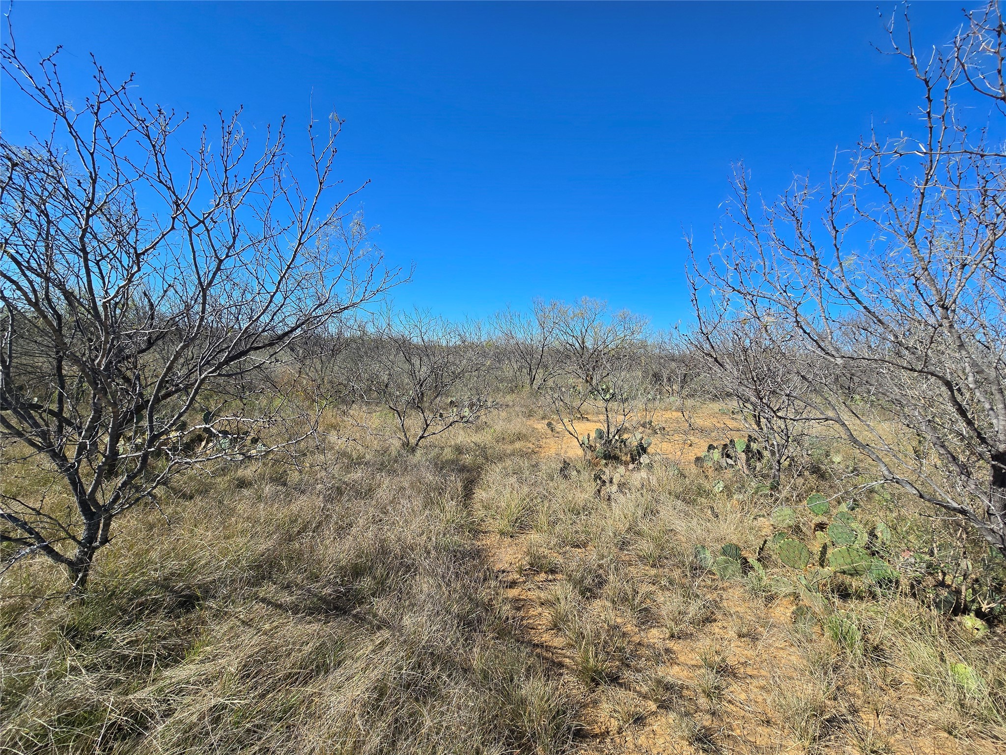 5780 County Road 266 Rochelle TX 76872